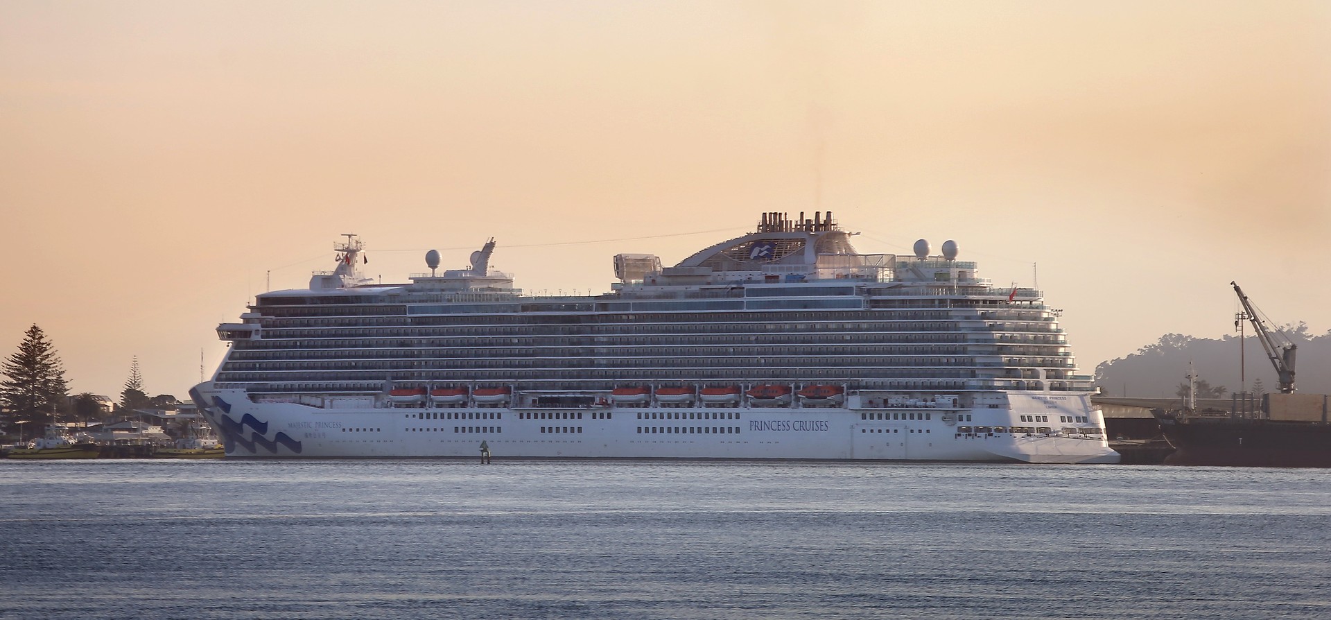 Majestic Princess on her maiden voyage to New Zealand in 2018. Photo / NZME