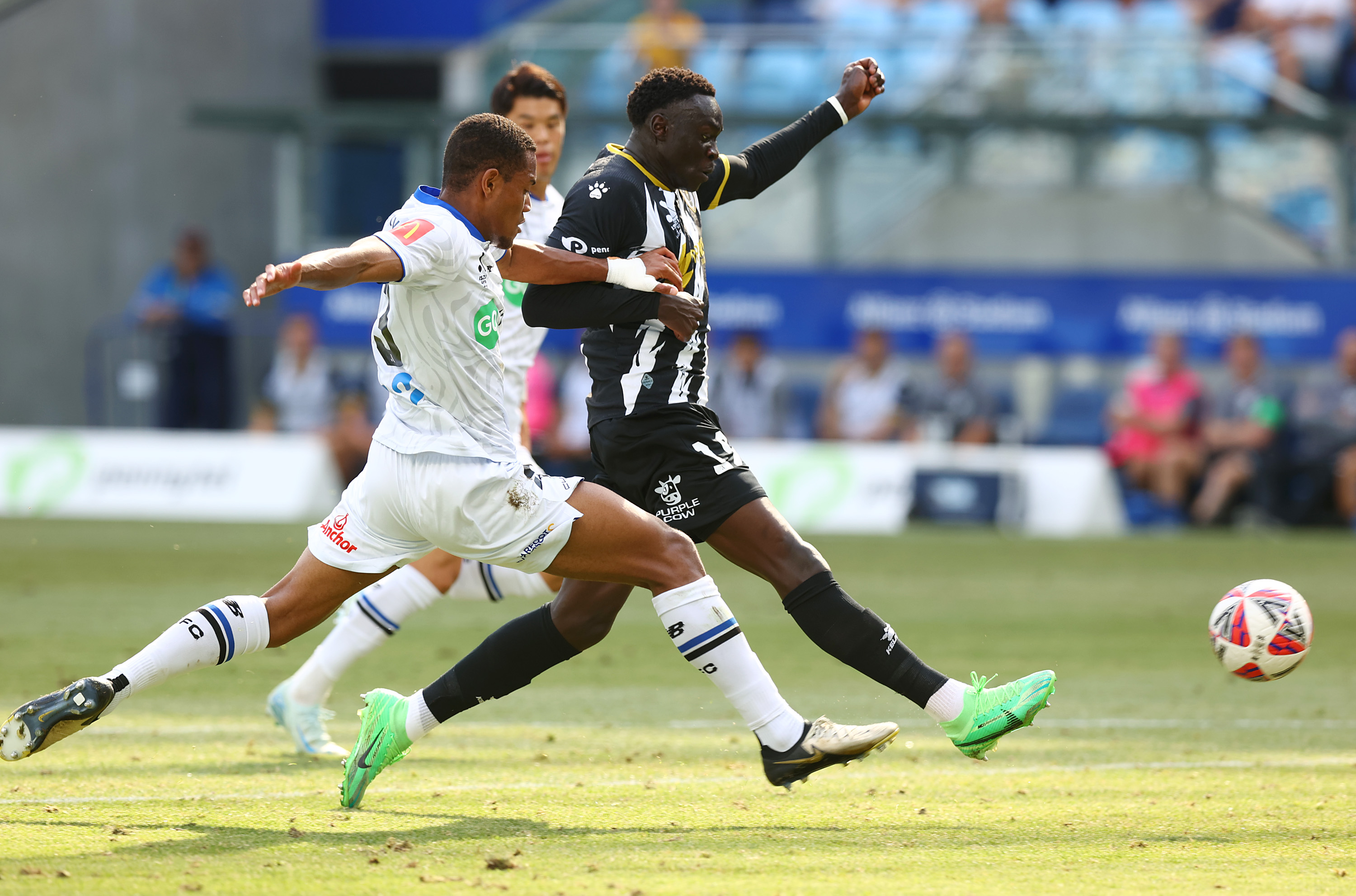 Auckland FC defender Dan Hall in action against Macarthur. Photo / Getty Images