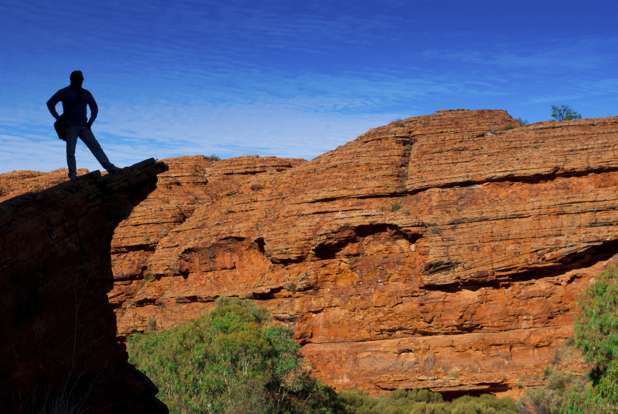 A touch of light: Aquila audax - Alice Springs News