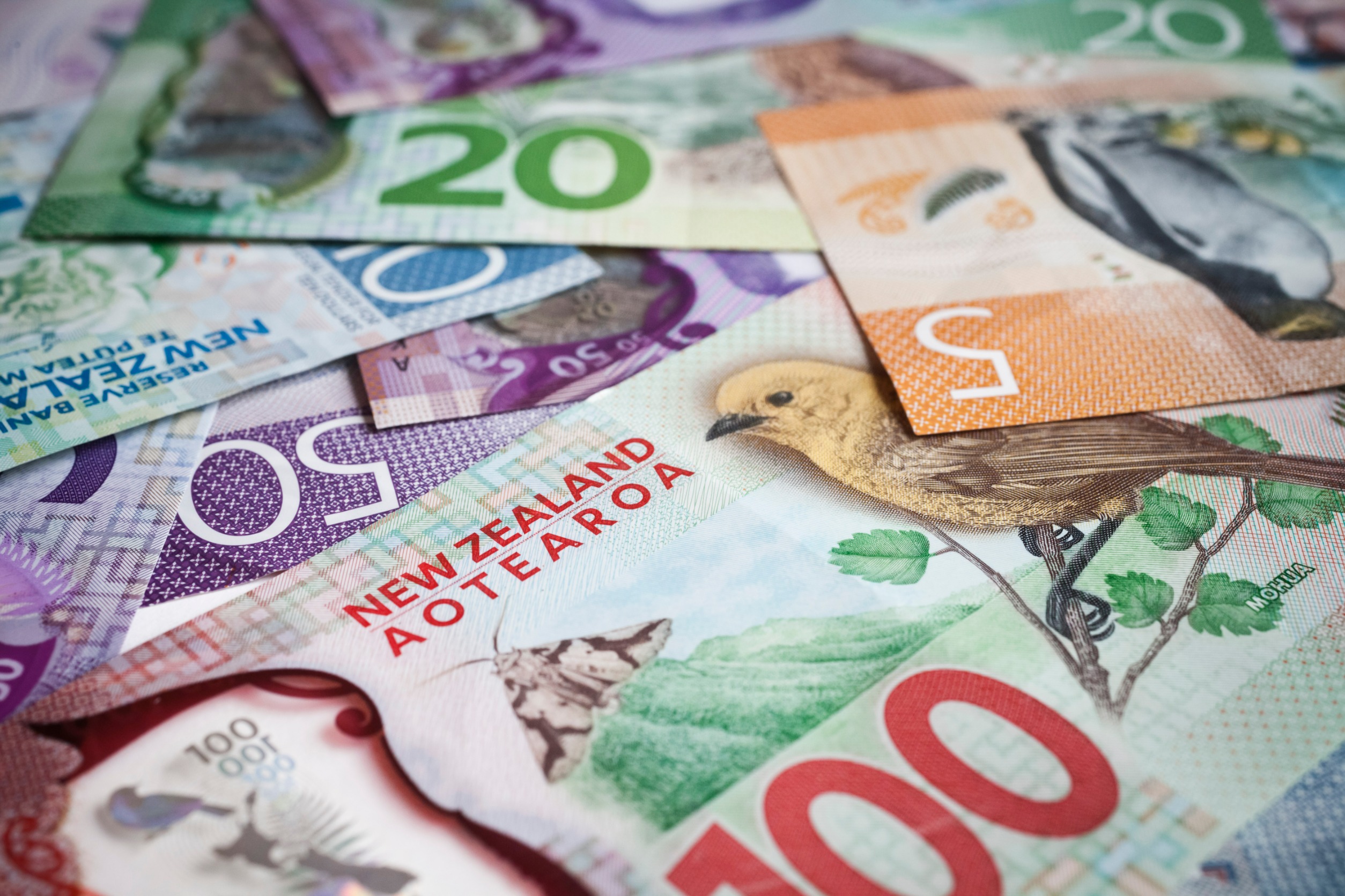 HSBC chief economist Paul Bloxham says New Zealand’s economy suffered the biggest hit in the world in 2024. Photo /123rf