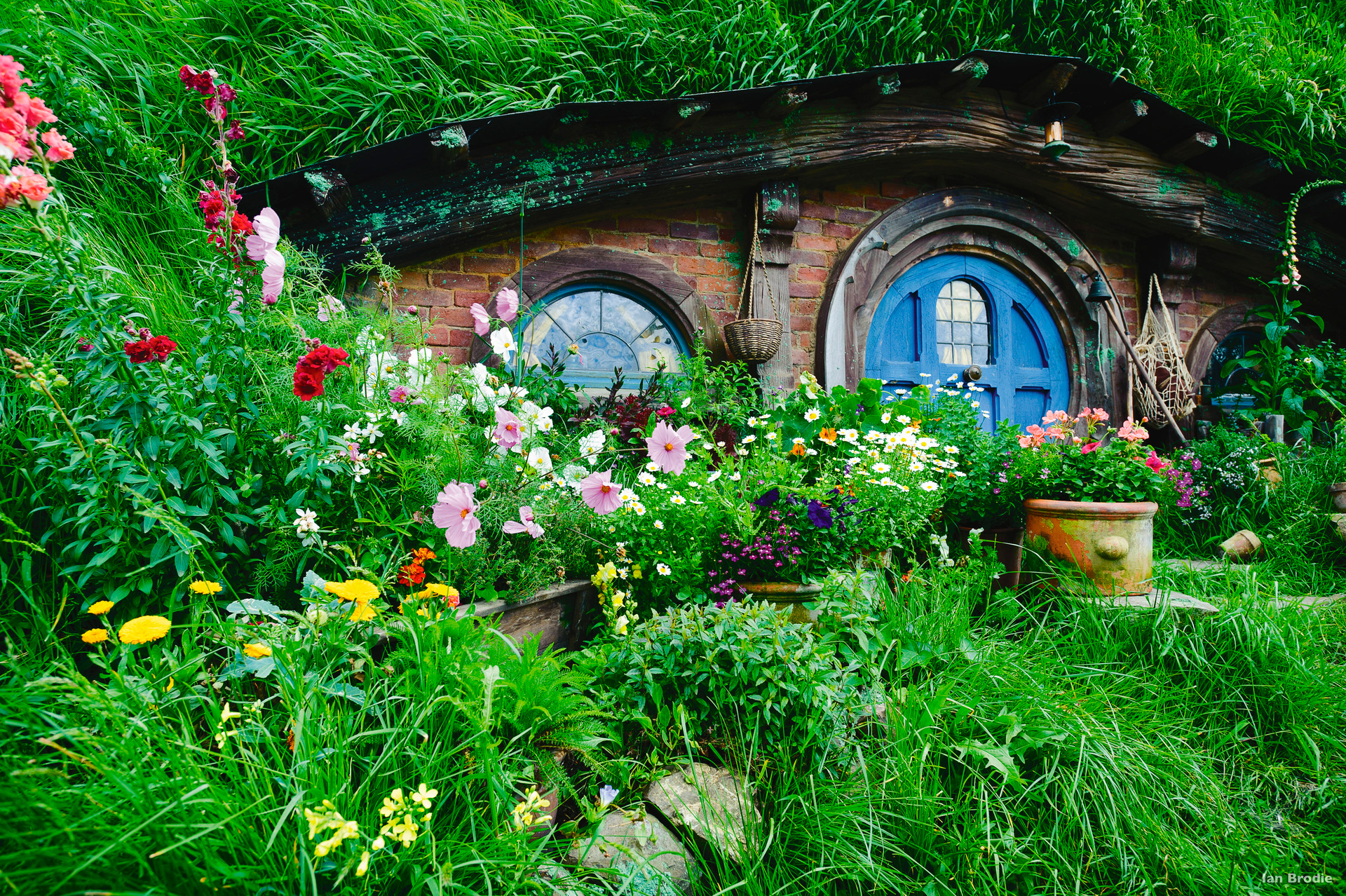 Even members of the family who haven't seen the films will be enchanted by Hobbiton in Matamata. Photo / Ian Brodie