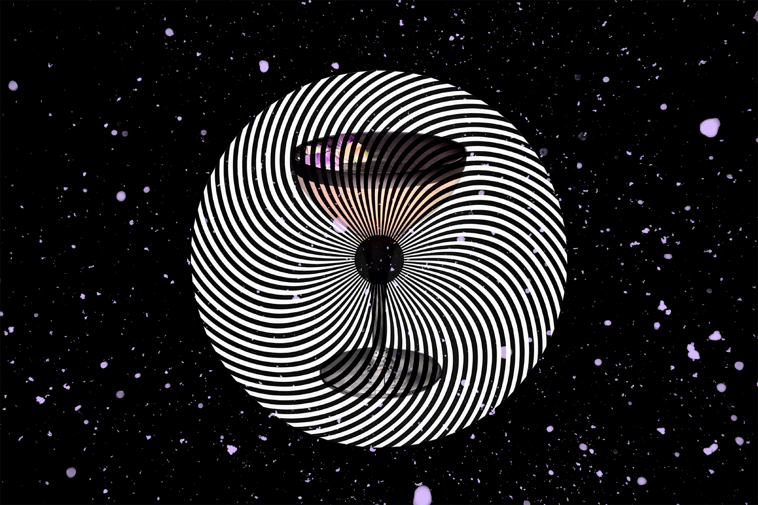 Collage / Julia Gessler
