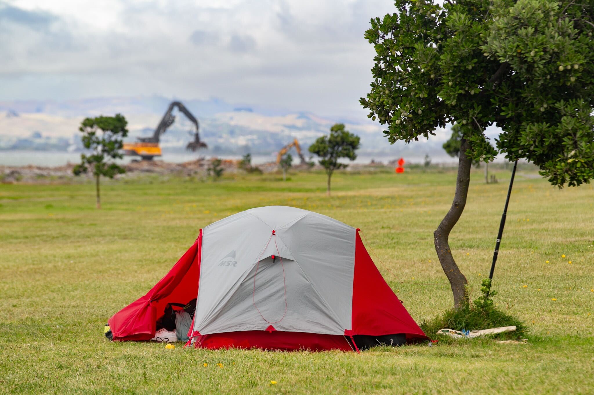 Debris removal is ongoing on Napier's Marine Parade beach, with council saying it poses a risk to the homeless living there. Photo / Warren Buckland