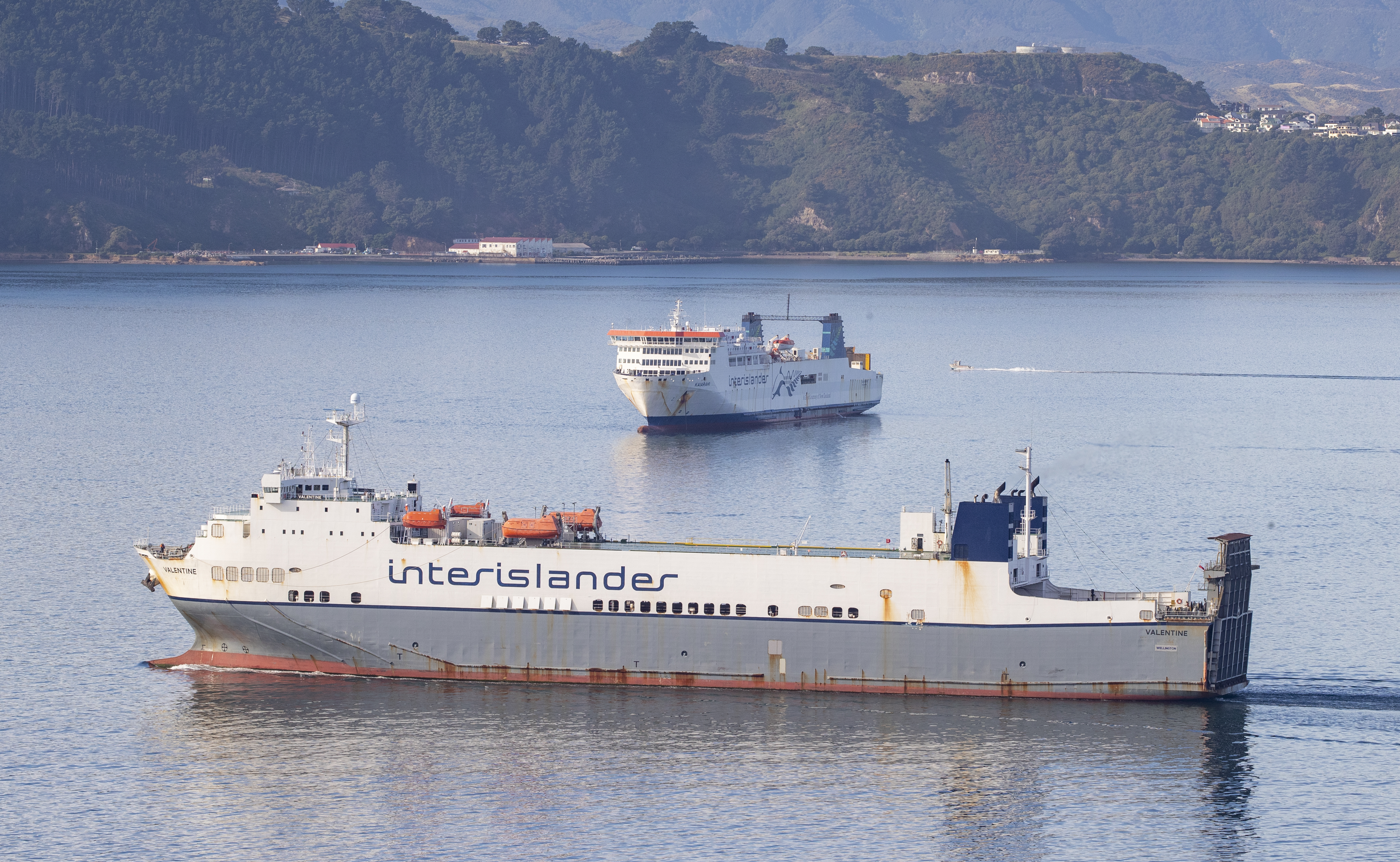 Wellington's harbourmaster said there will be “a large degree of uncertainty”. Photo / Mark Mitchell

