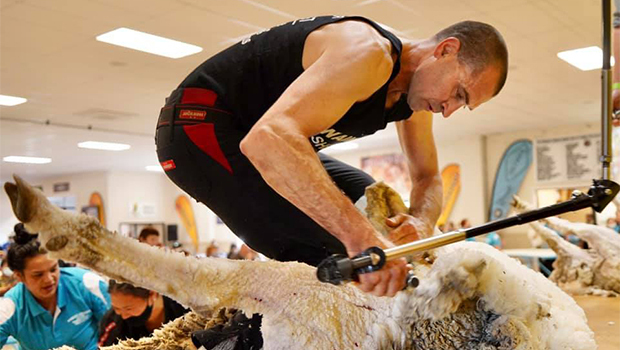 Southland shearer Nathan Stratford, seen here at Waimate in 2021, is going for a 20th time in the PGG Wrightson Vetmed National Circuit final.