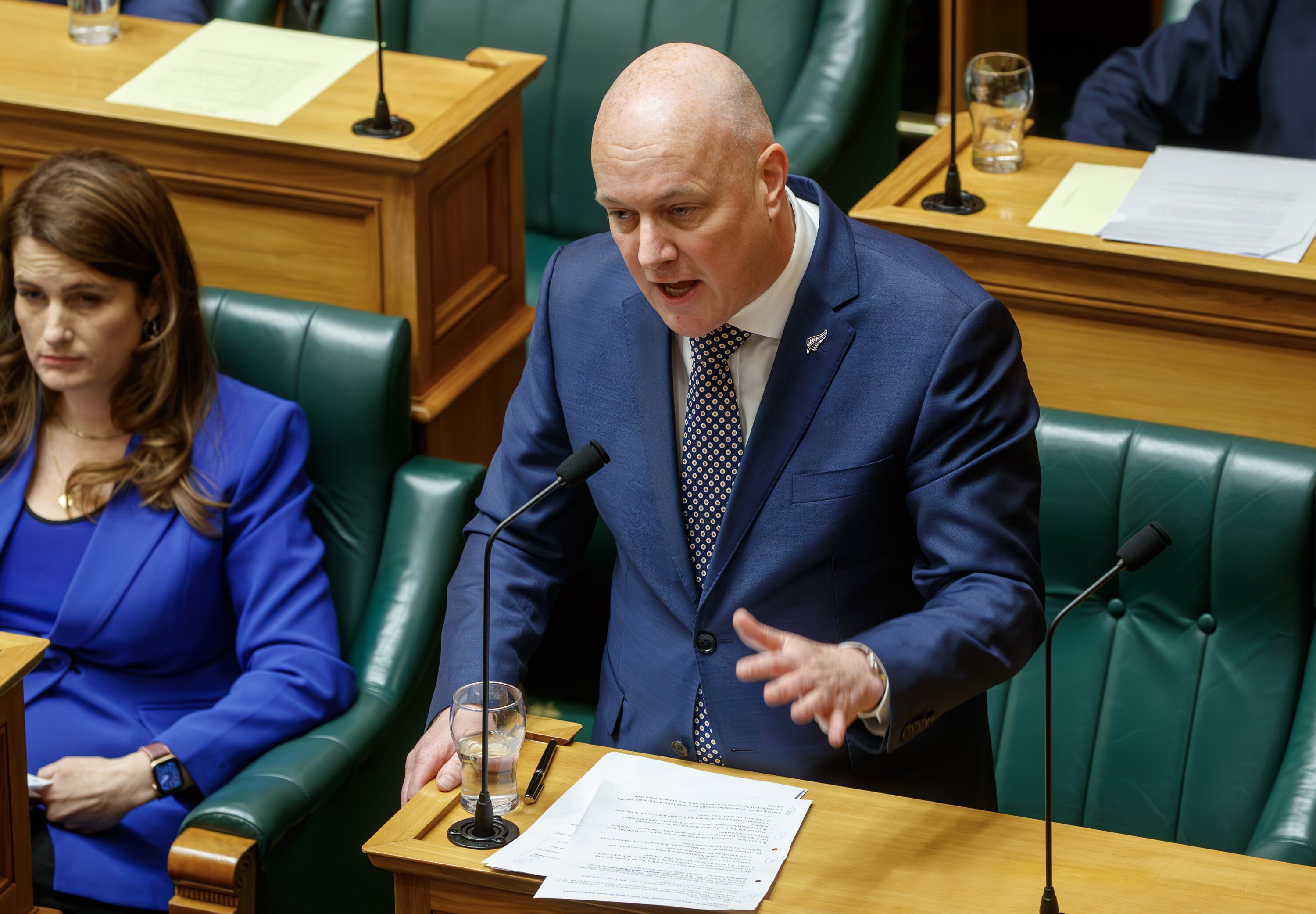 Prime Minister Christopher Luxon during Question Time in Parliament. Photo / Mark Mitchell