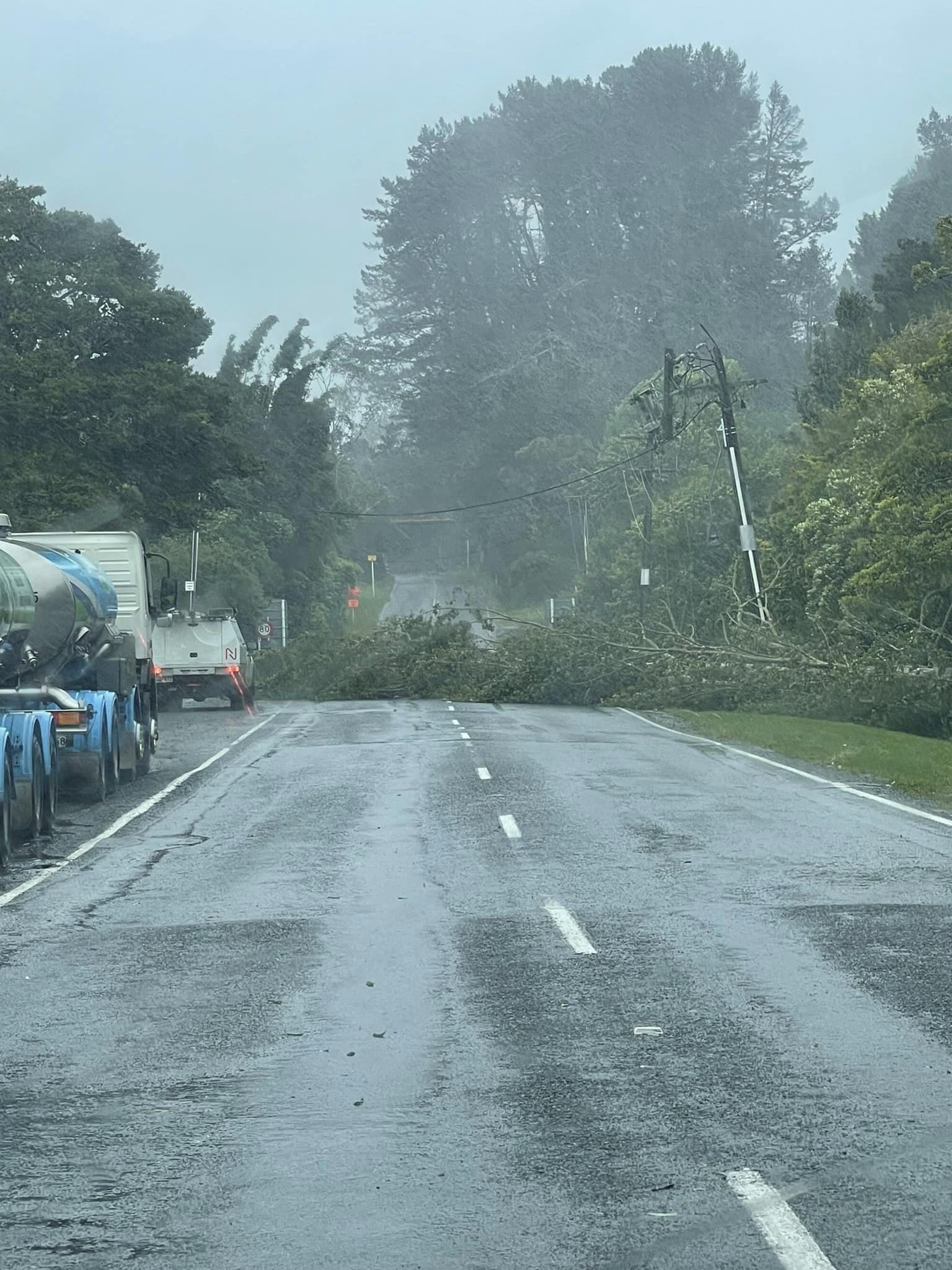 A tree blocking Pipiwai Rd. Photo / Supplied