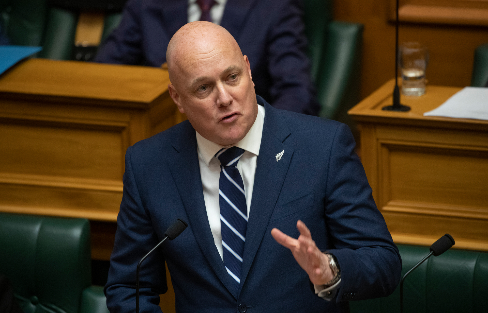 Christopher Luxon may have to lead a 'coalition of chaos'. Photo / Mark Mitchell