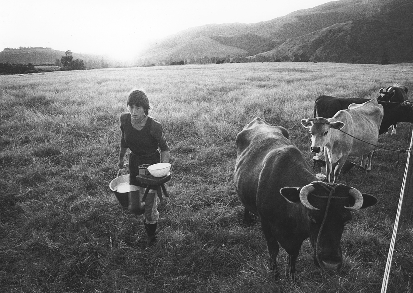 Commune book: Author Olive Jones on life in the 1970s on Tahuna Farm - NZ  Herald