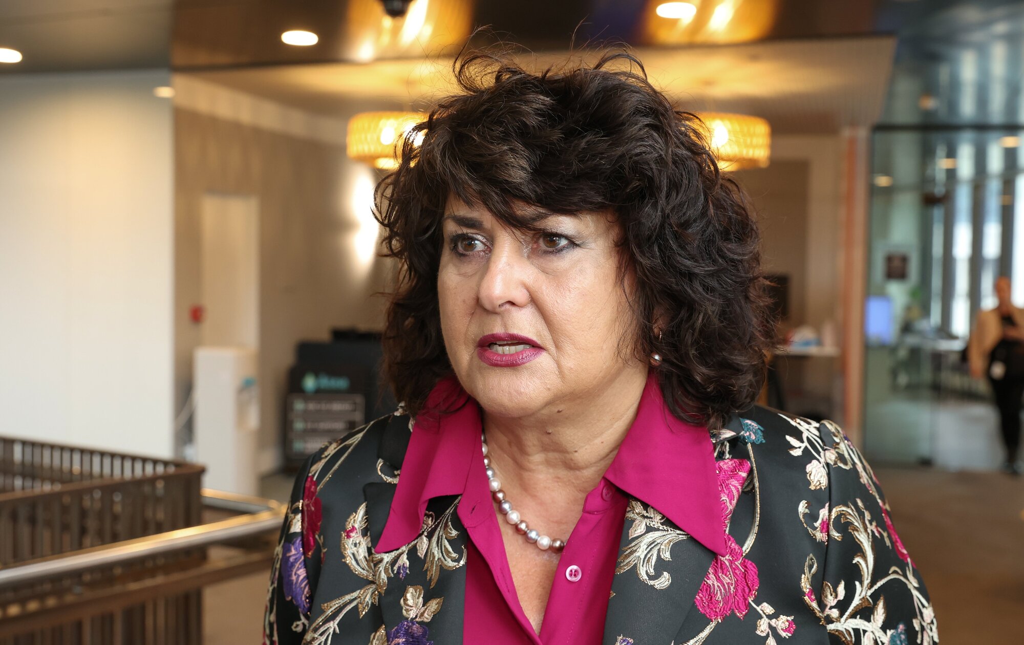 Associate Health Minister and Customs Minister Casey Costello has welcomed the report. Photo / Mark Mitchell 