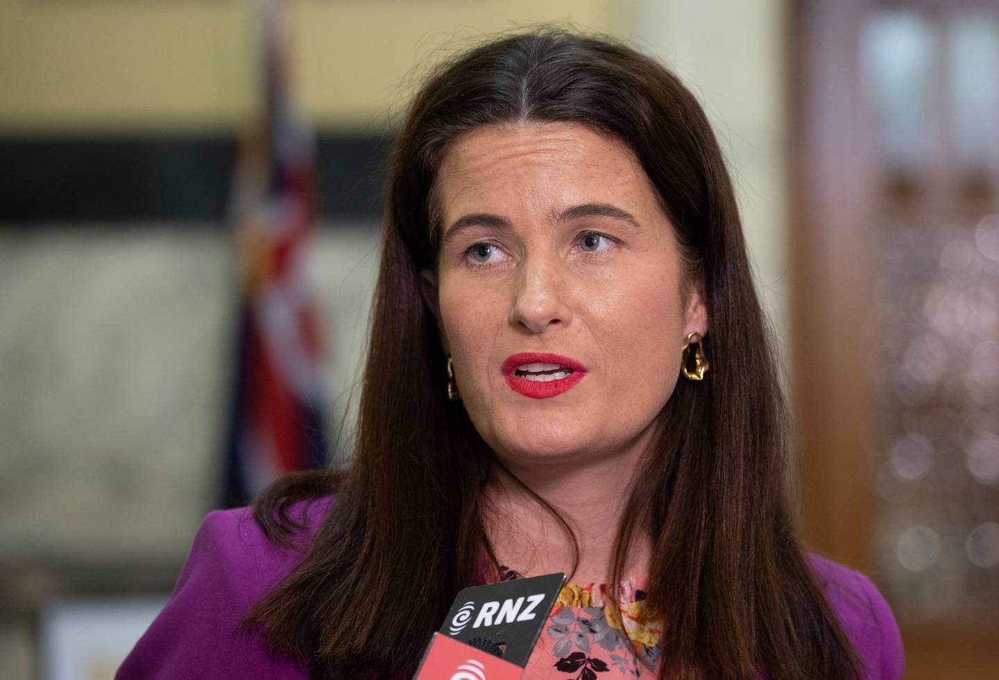 National's Nicola Willis. Photo / Mark Mitchell