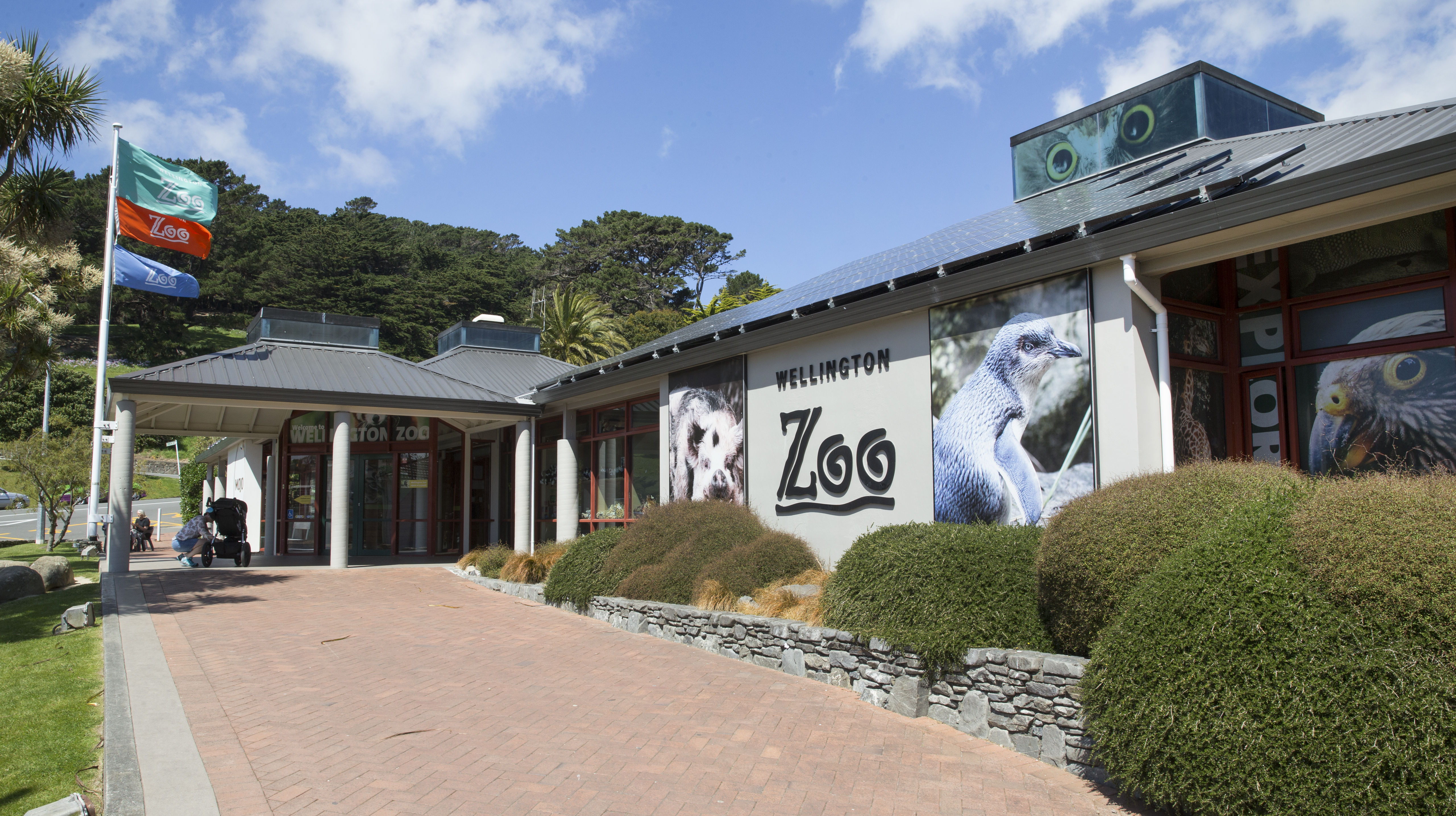 Wellington Zoo. Photo/Mark Mitchell