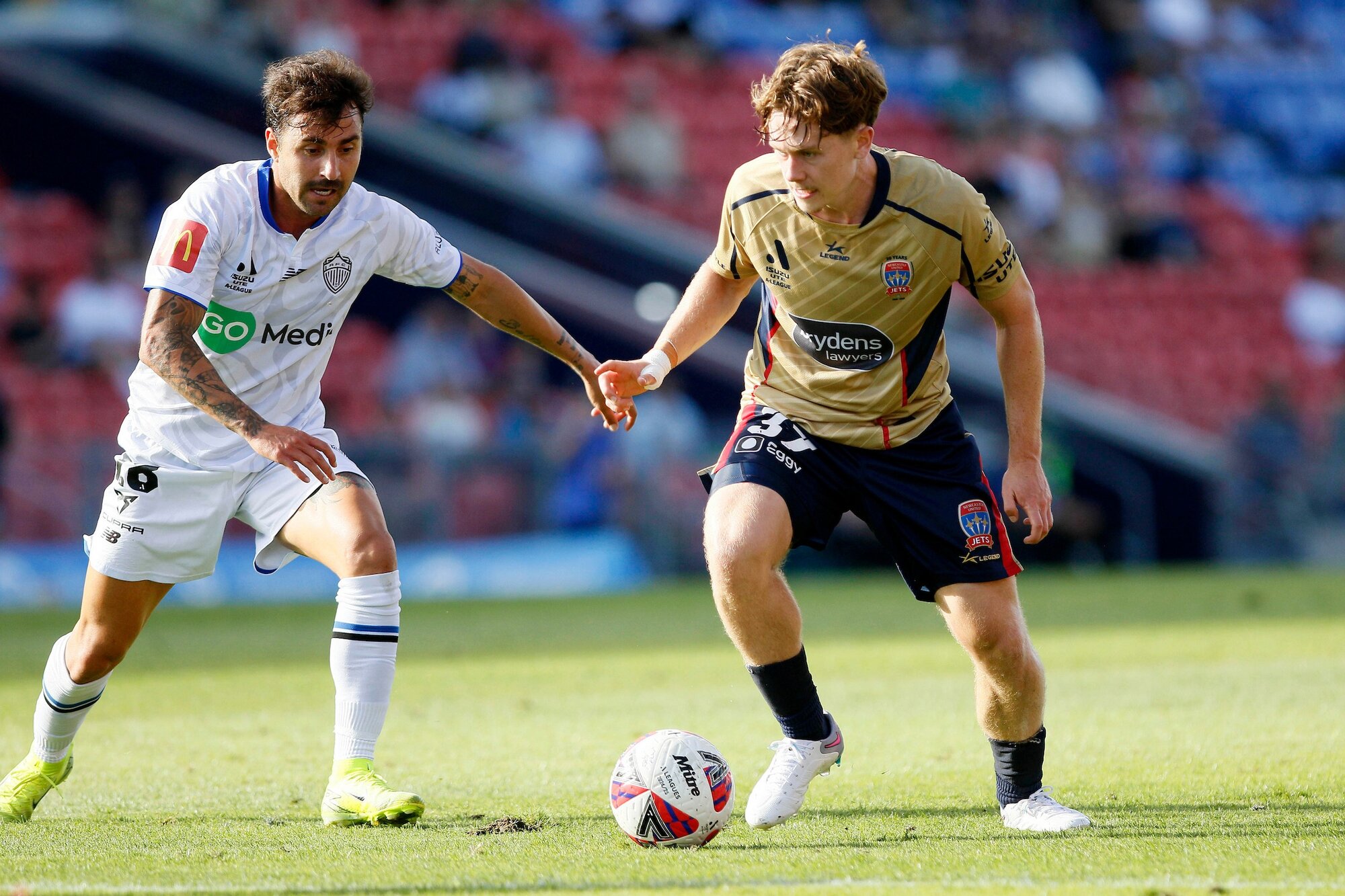 Lachlan Bayliss is the closest thing to an All Whites bolter in Darren Bazeley's squad.  Photo / Photosport 