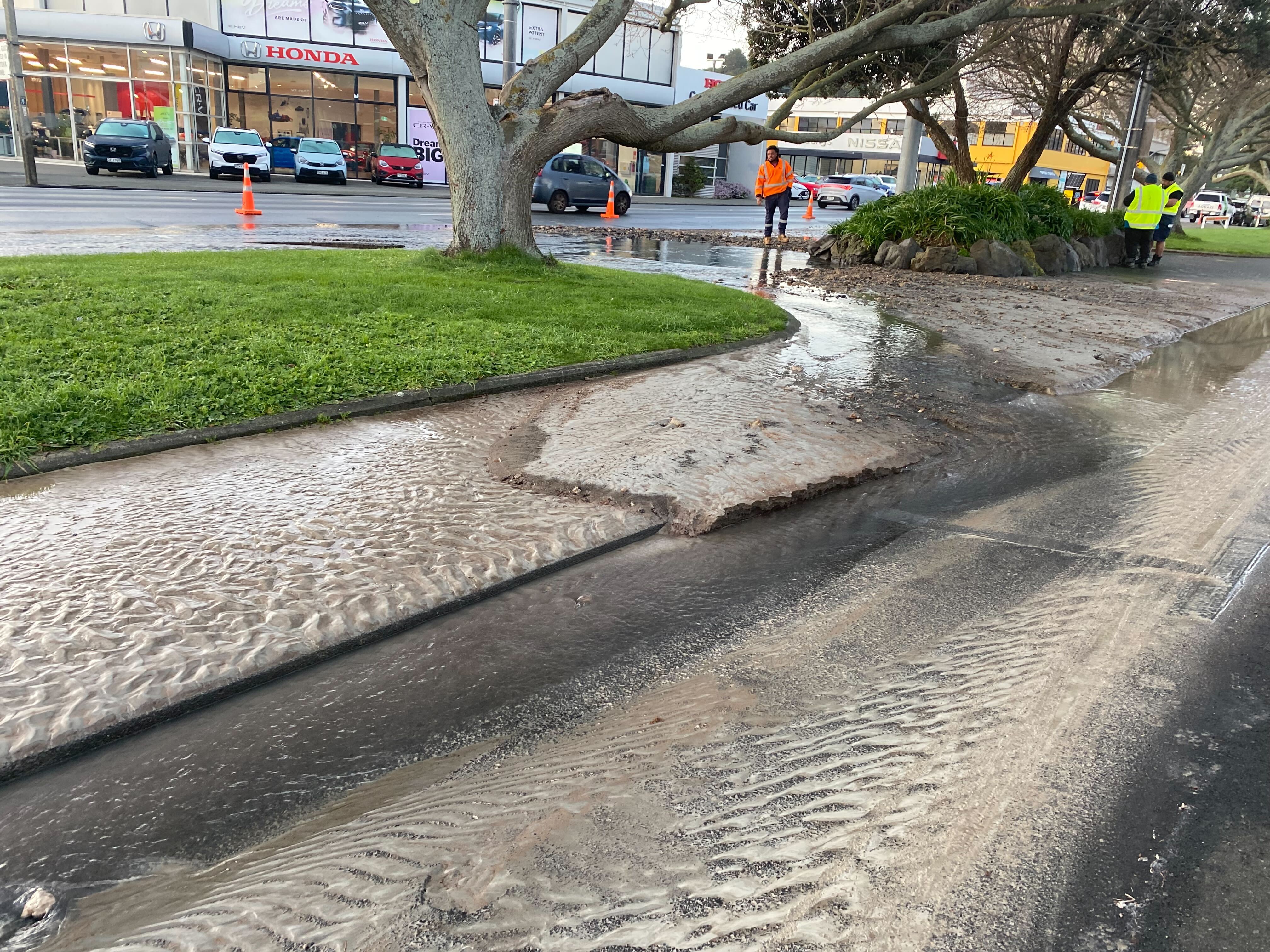 Commuters are being asked to avoid the area or expect delays. Photo / Ethan Manera
