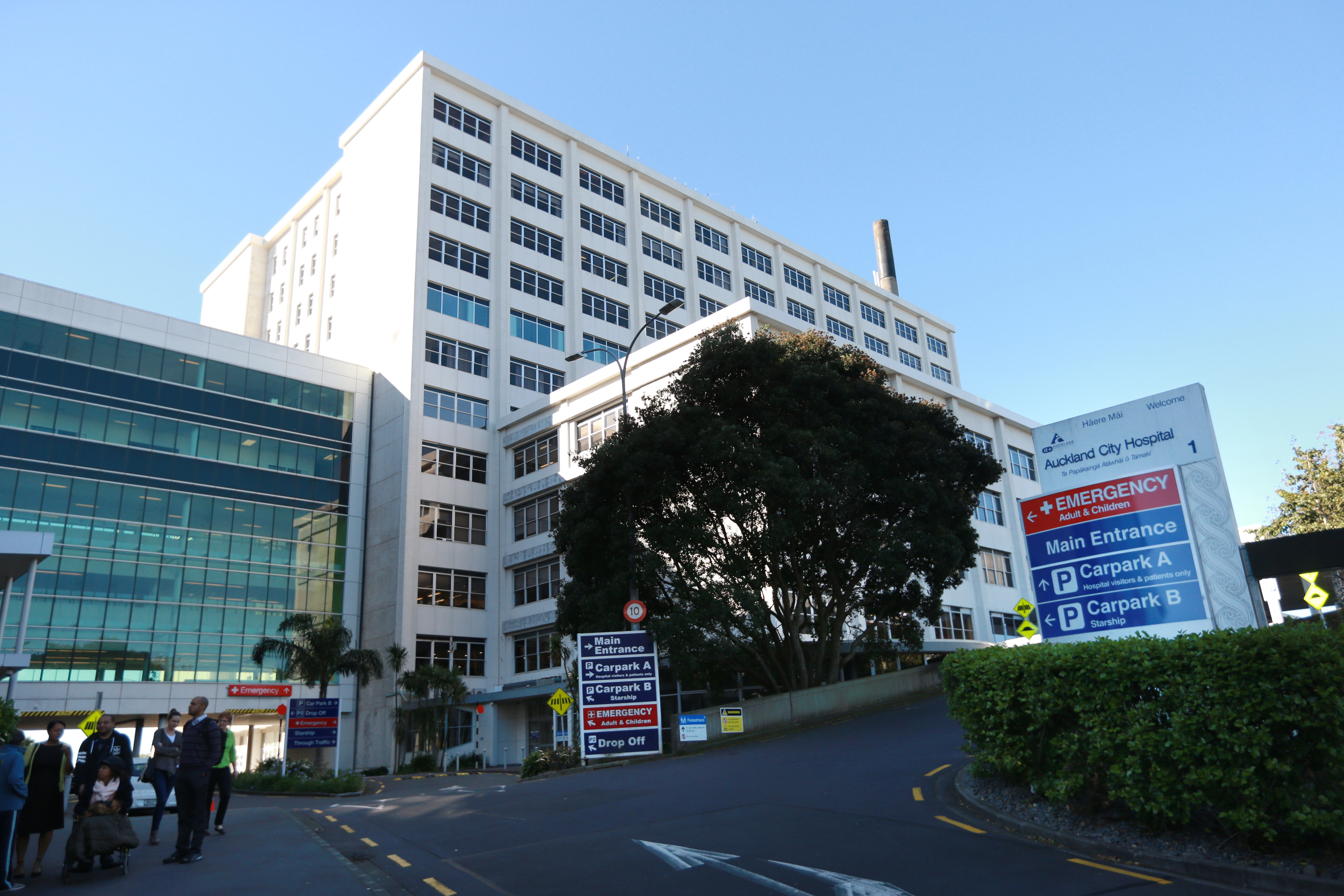  Healthcare staff are in high demand.  Photo / Doug Sherring