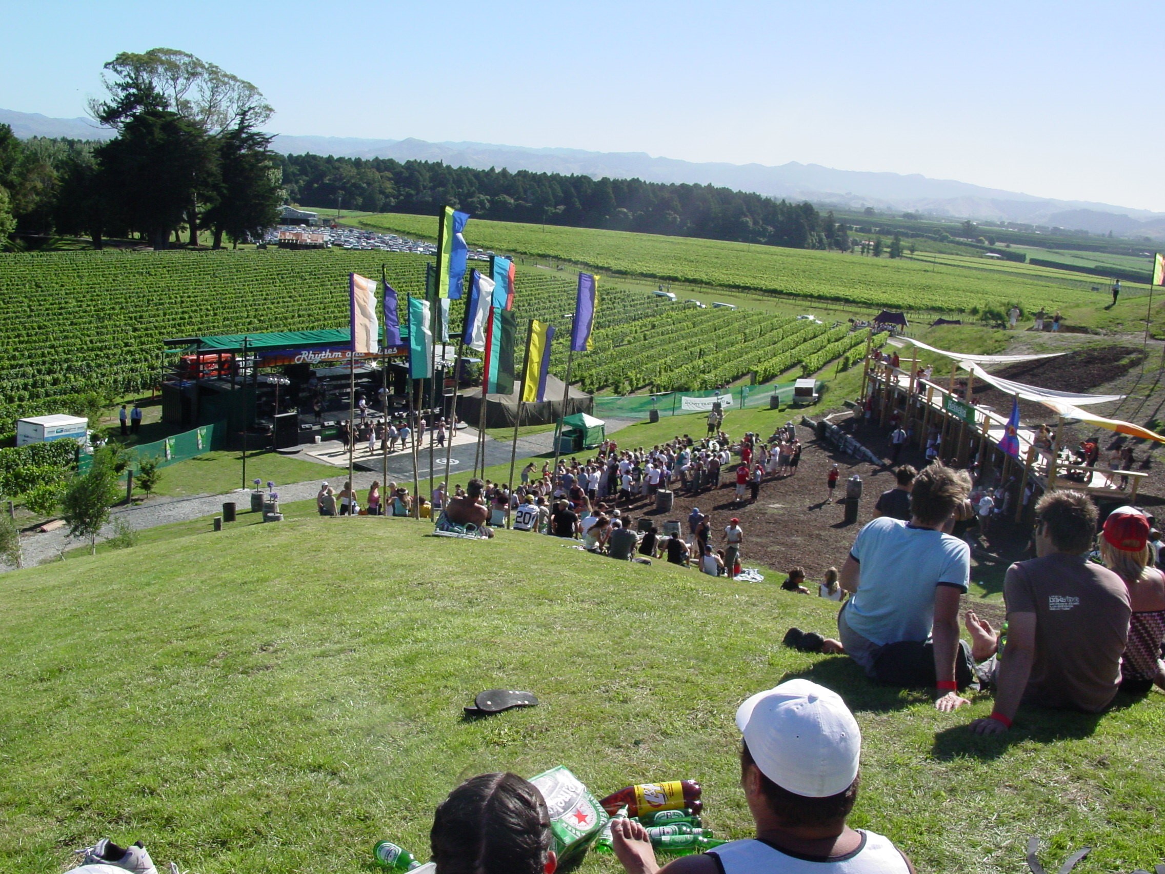 Rhythm and Vines in its debut year of 2003.
