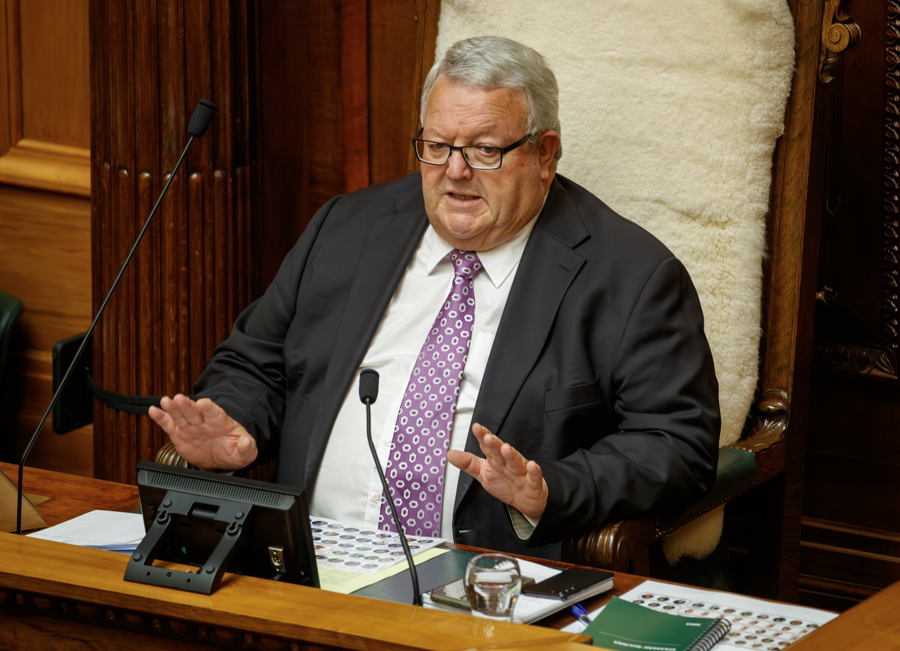 Speaker of the House Gerry Brownlee is putting the brakes on MPs displaying party logos in the House. Photo / Mark Mitchell