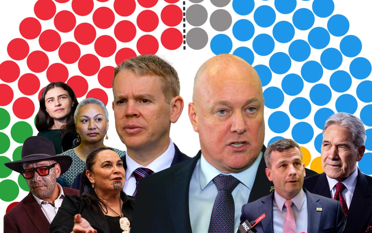 Parliament's make-up would shift markedly if Opportunity tips over the 5% threshold, according to the latest RNZ-Reid Research poll. Photo / RNZ