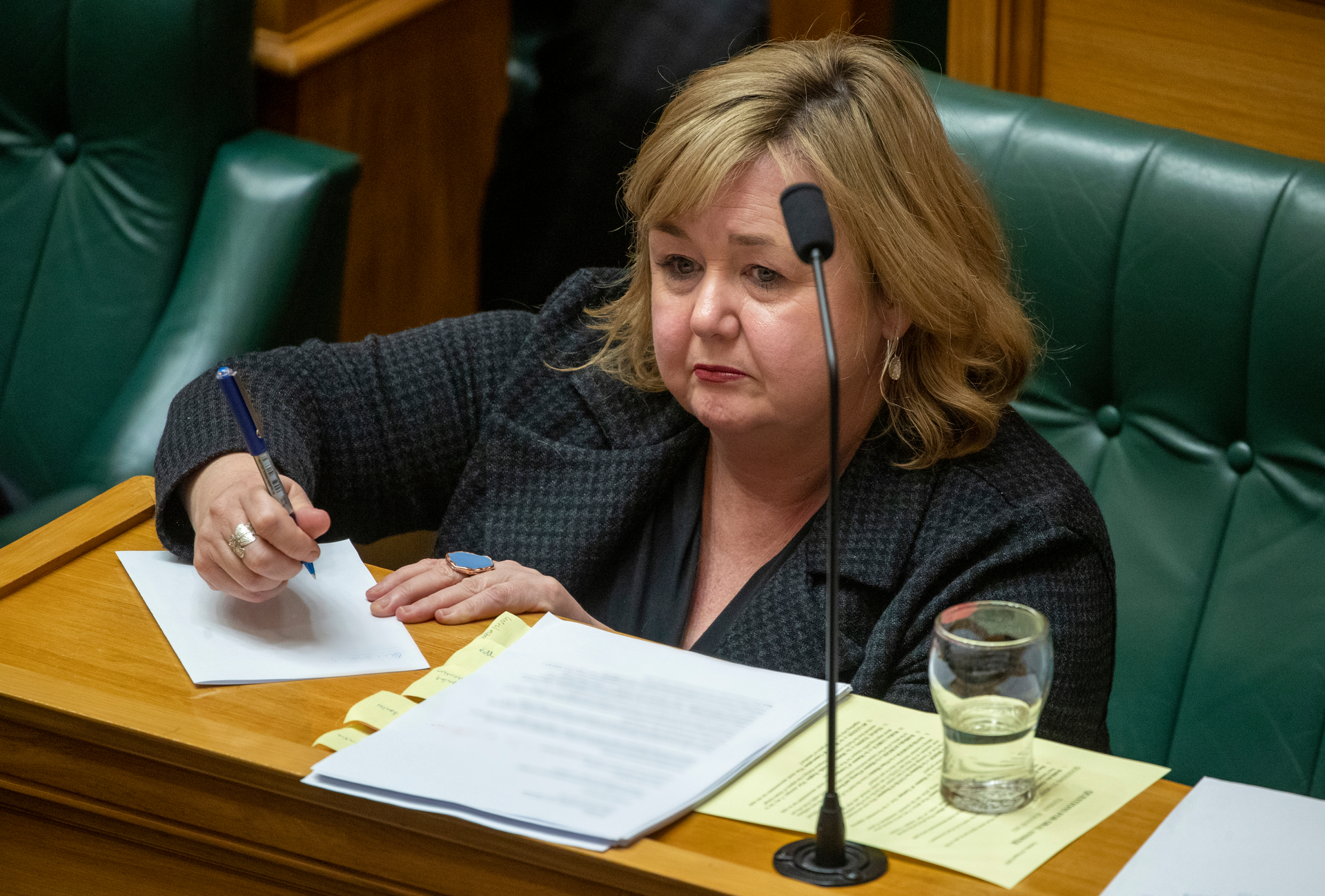 Housing Minister Megan Woods said the Ferncliffe Farm purchase is the best option for Tauranga's housing needs. Photo / Mark Mitchell