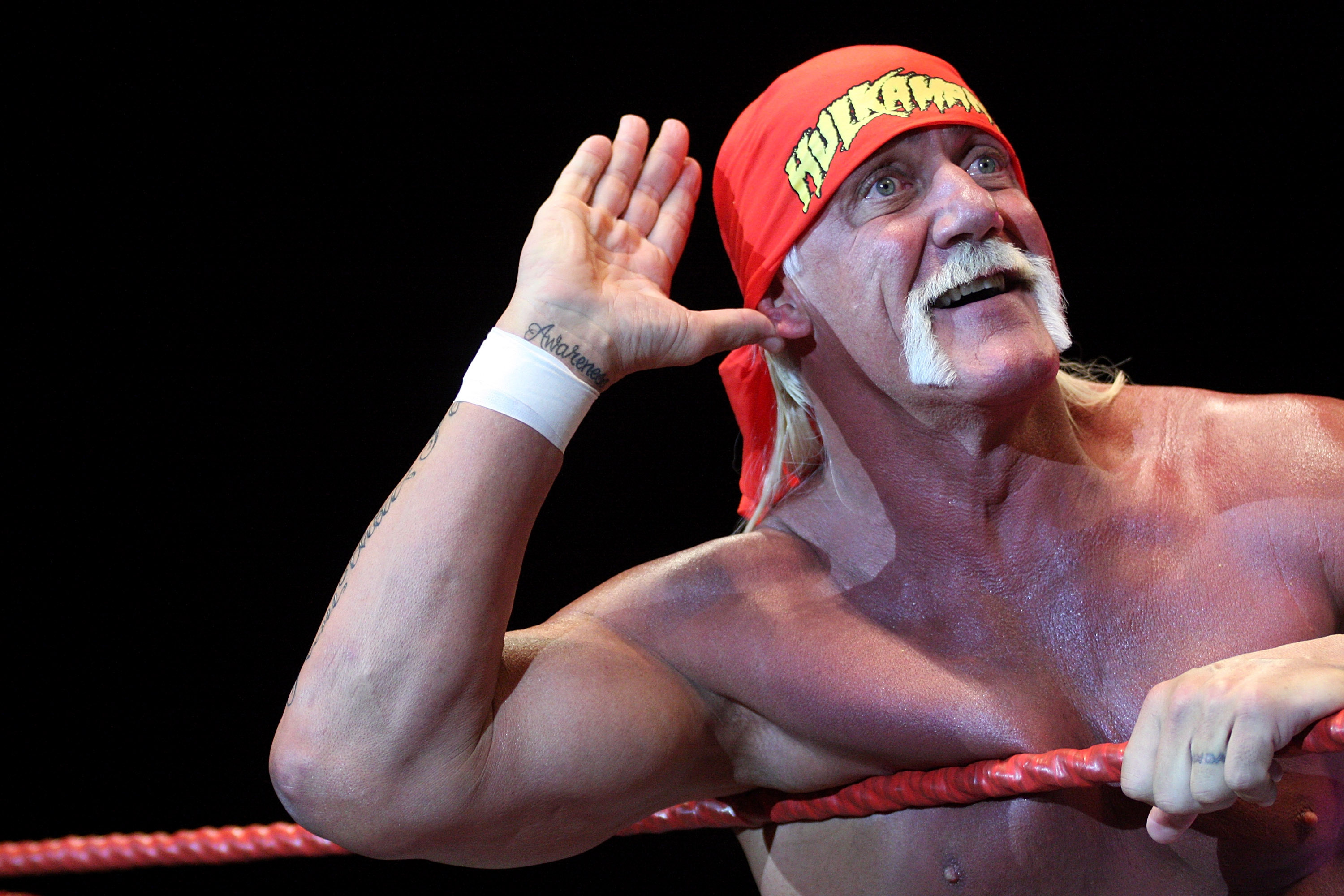 The Hulk Hogan damages US$140 million payout prompted the Gawker sale. Photo / Getty Images