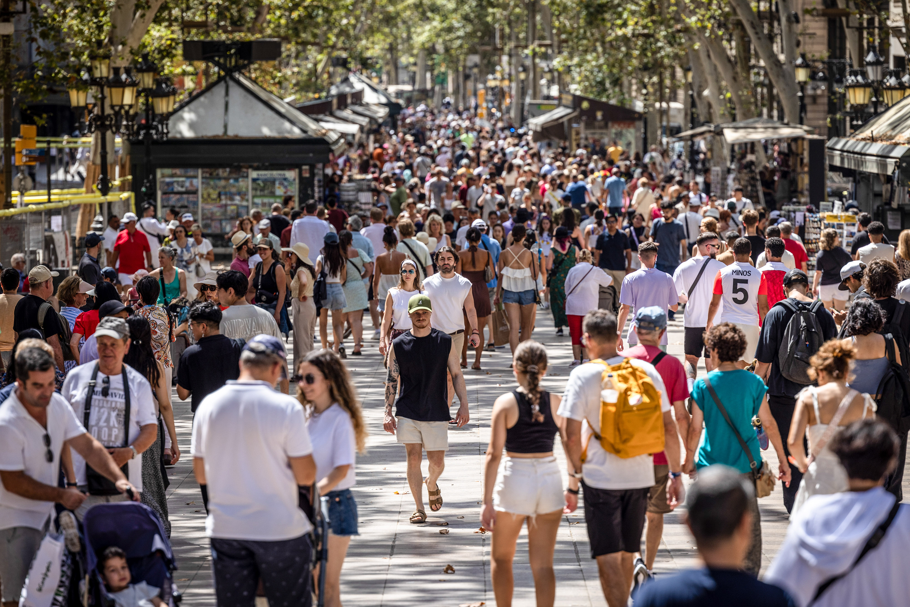 The IMF said the divergence between productivity levels in the US and Europe encompassed all sectors, but was particularly stark for tech. Photo / Getty Images