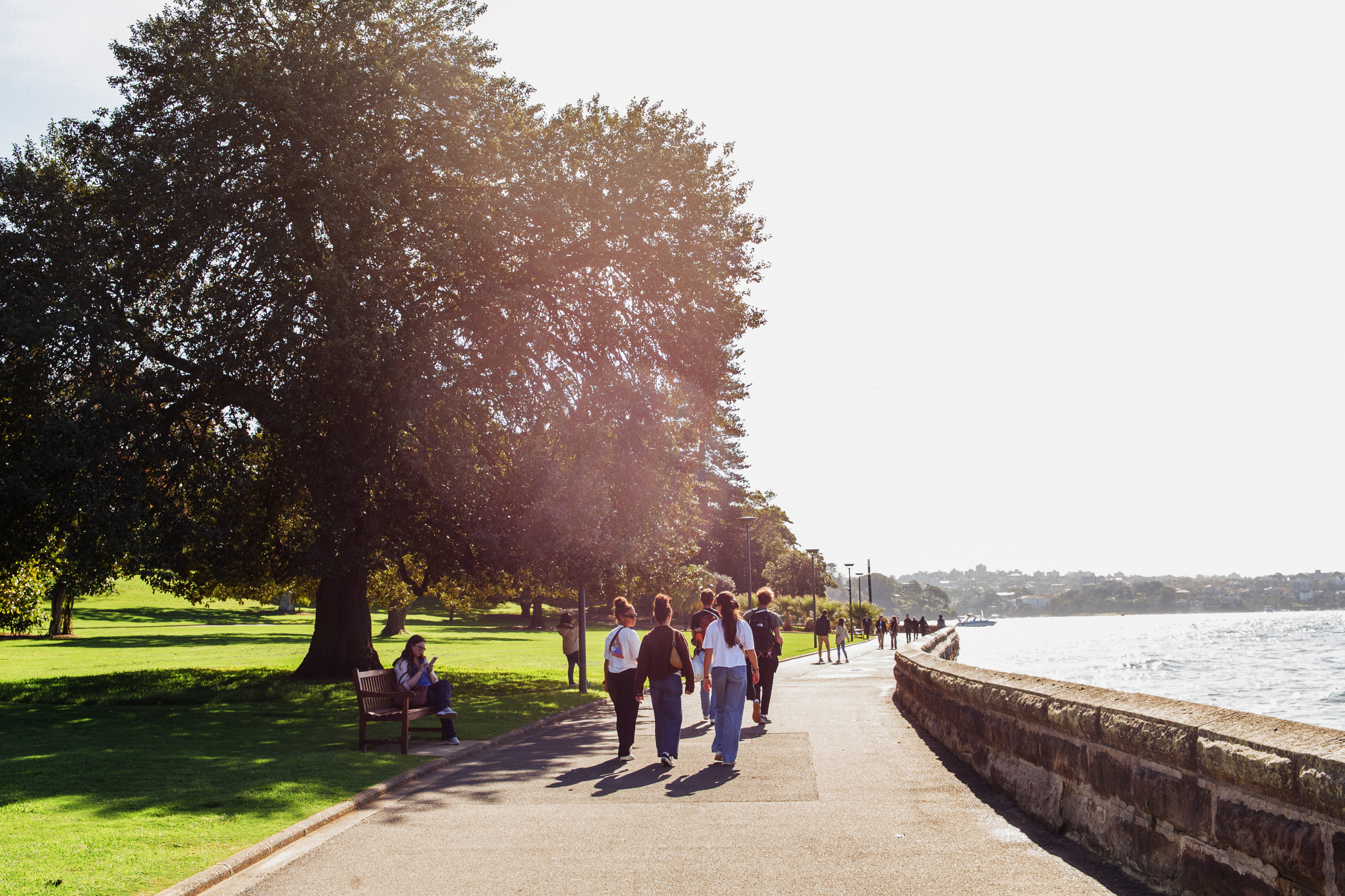 Kidman calls the Royal Botanic Garden “Sydney at its finest.” Photo / Rachel Kara Ashton, The New York Times