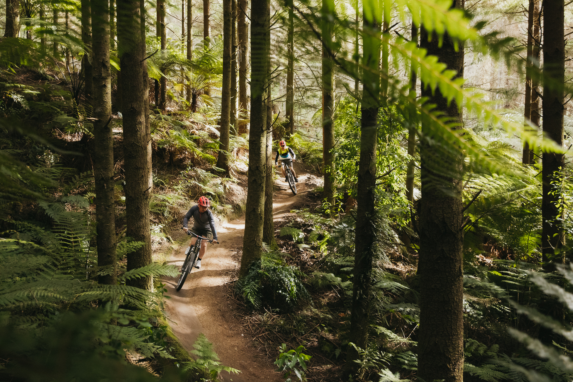 The Redwoods in Rotorua offer plenty of trails for keen mountain bikers. Photo / Joel McDowell