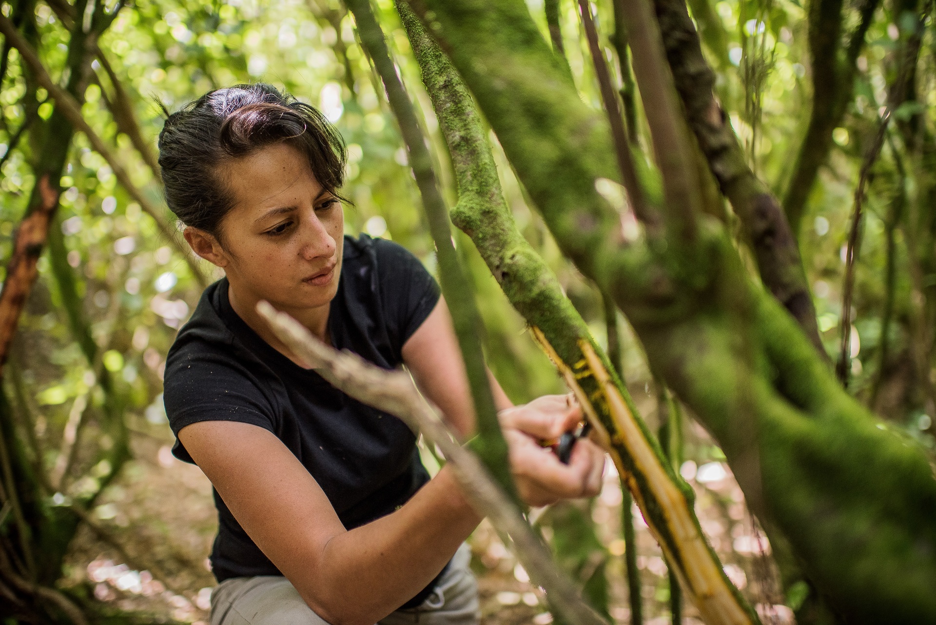 Chef Monique Fiso foraging for Wellington's Hiakai restaurant. Photo / Supplied