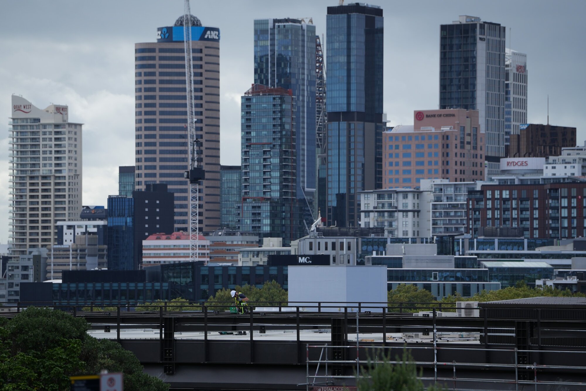 A view from College Hill to the central city. Photo / Cameron Pitney