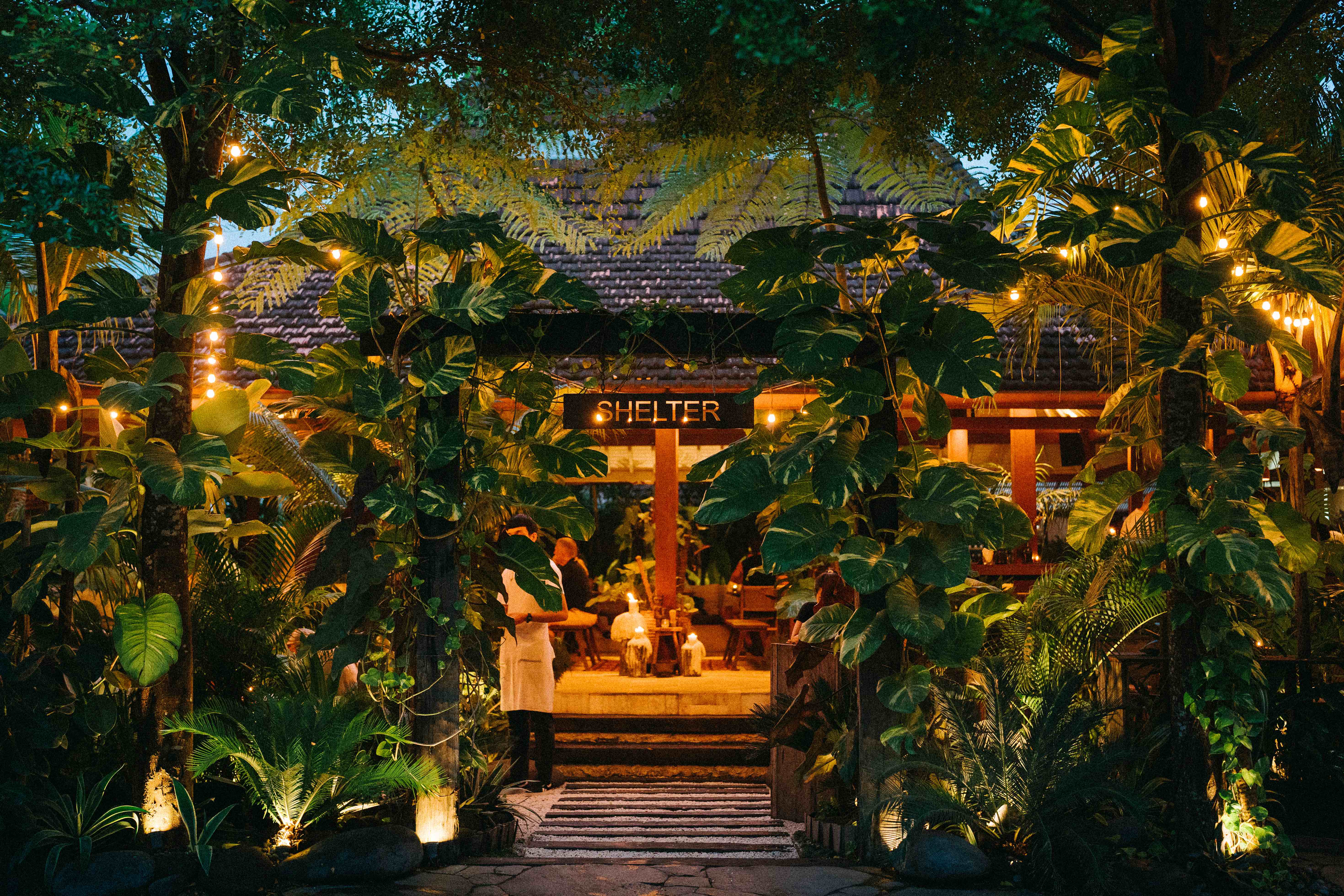 Shelter, a new restaurant in Canggu, can be found on a leafy stretch of Pererenan. Photo / Supplied