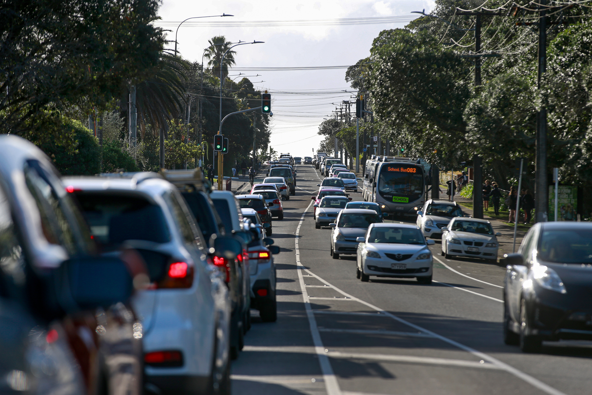 The plan's aim is to halve the amount of trips by car. Photo / Alex Burton