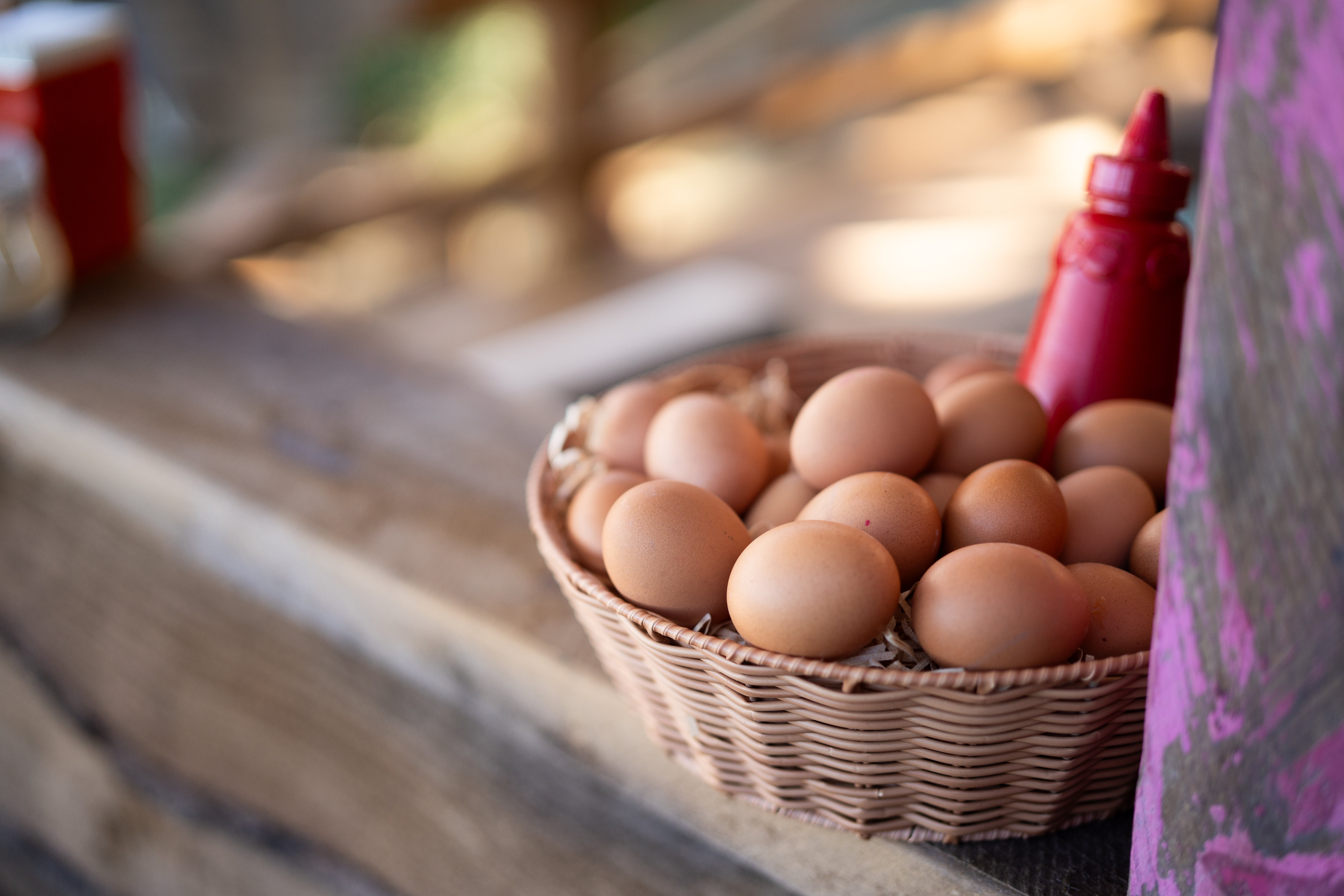 Eggs with a side of tomato sauce - the ultimate Kiwi brekky? Photo / TVNZ