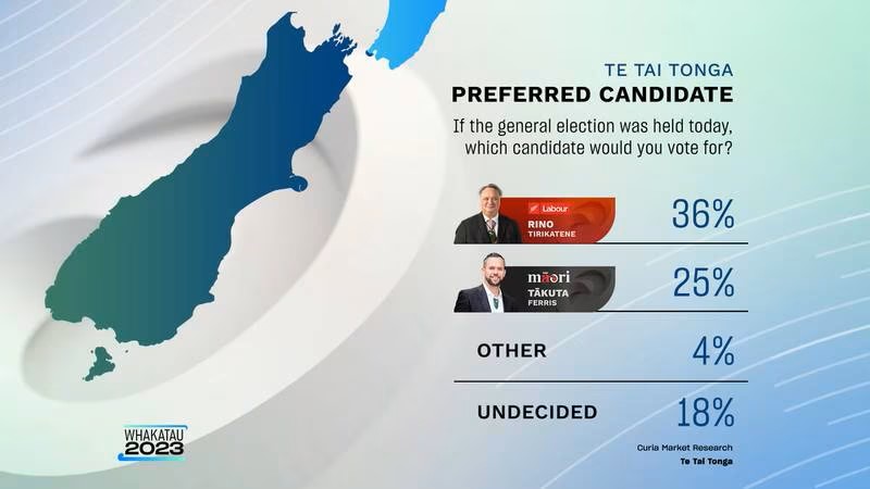The Curia-Whakaata Māori poll has Rino Tirikatene well down on 2020 numbers. Photo / Whakaata Māori