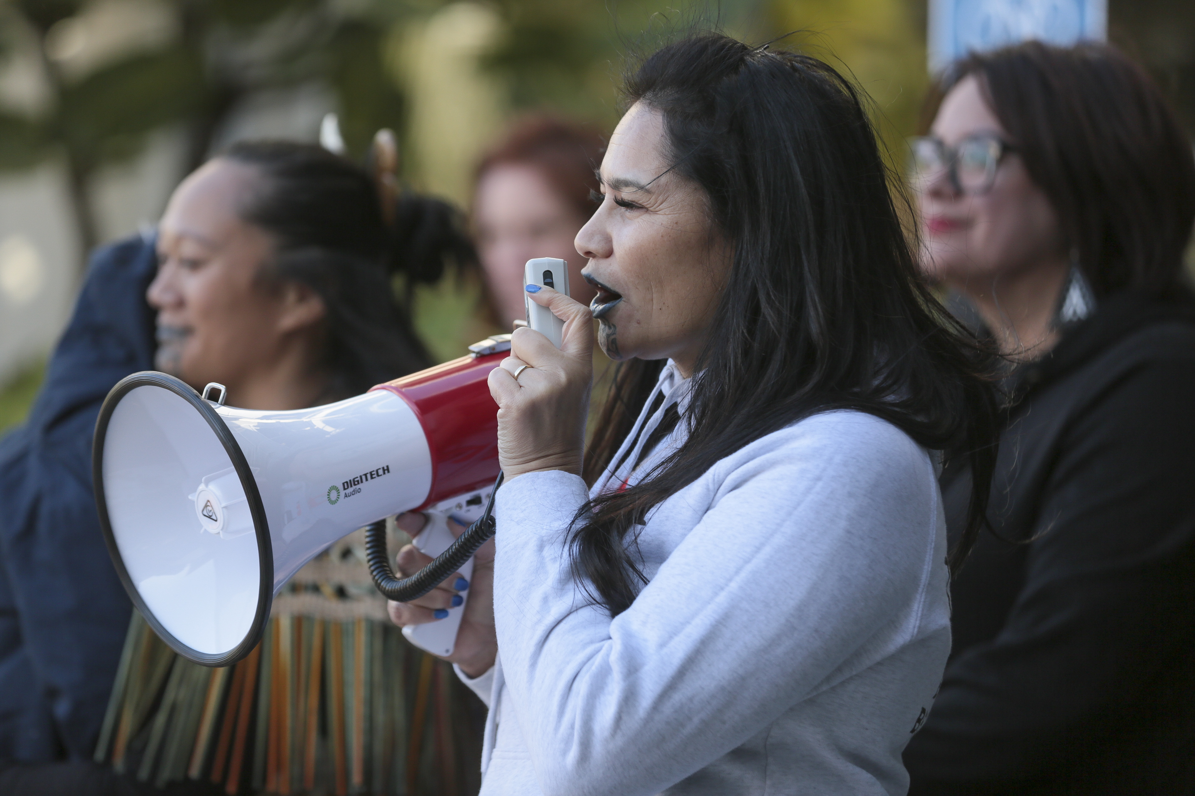 Heather Skipworth's candidacy for the Tukituki electorate was shortlived. Photo / Warren Buckland