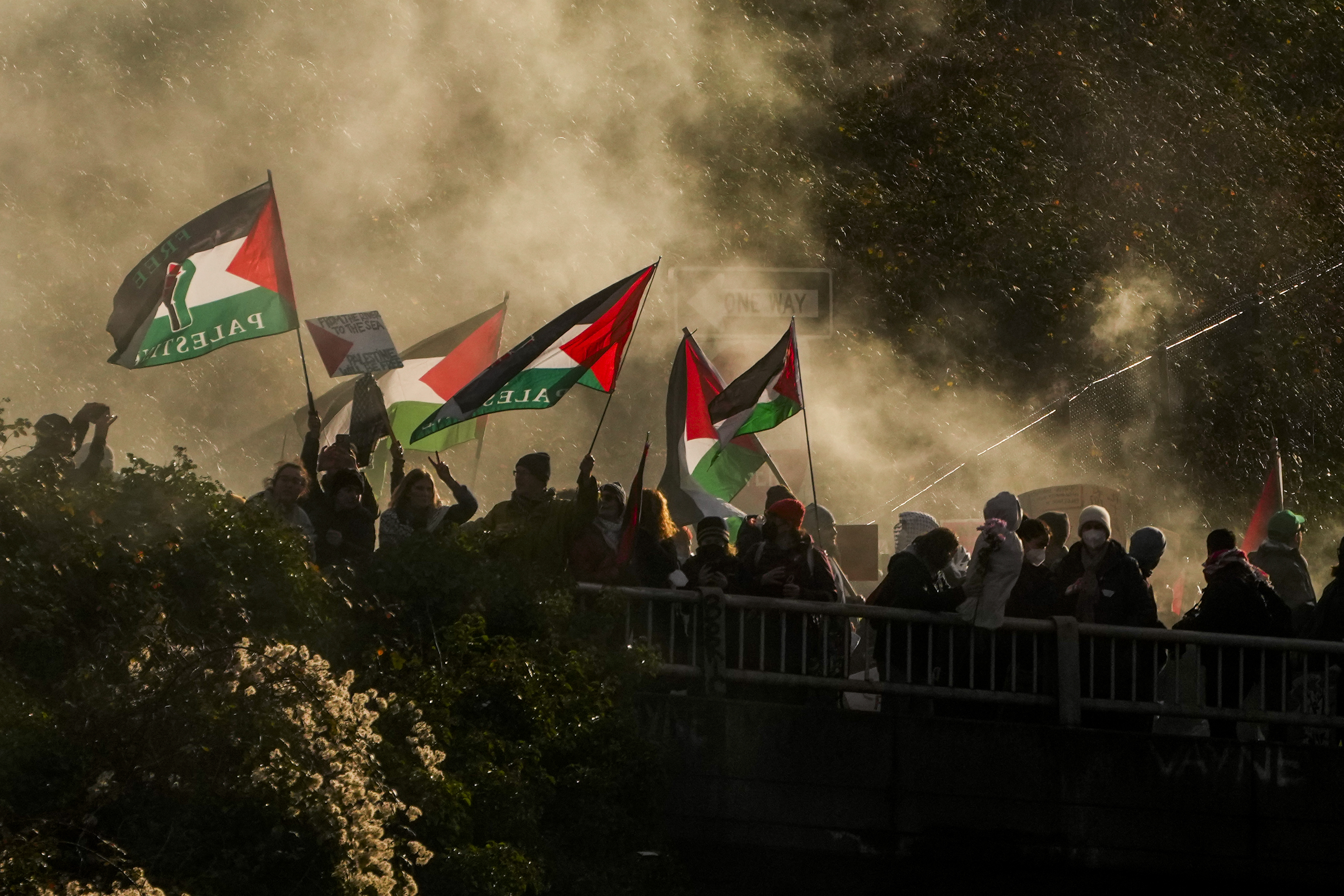 Protesters in downtown Seattle, Washington, calling for a ceasefire in the Israel-Hamas war. Photo / AP