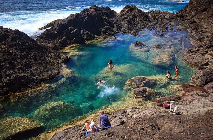 Signs have gone up advising people about a rāhui being put over the Mermaid Pools and the access route over the Rangitapu headland.
Photo/Supplied