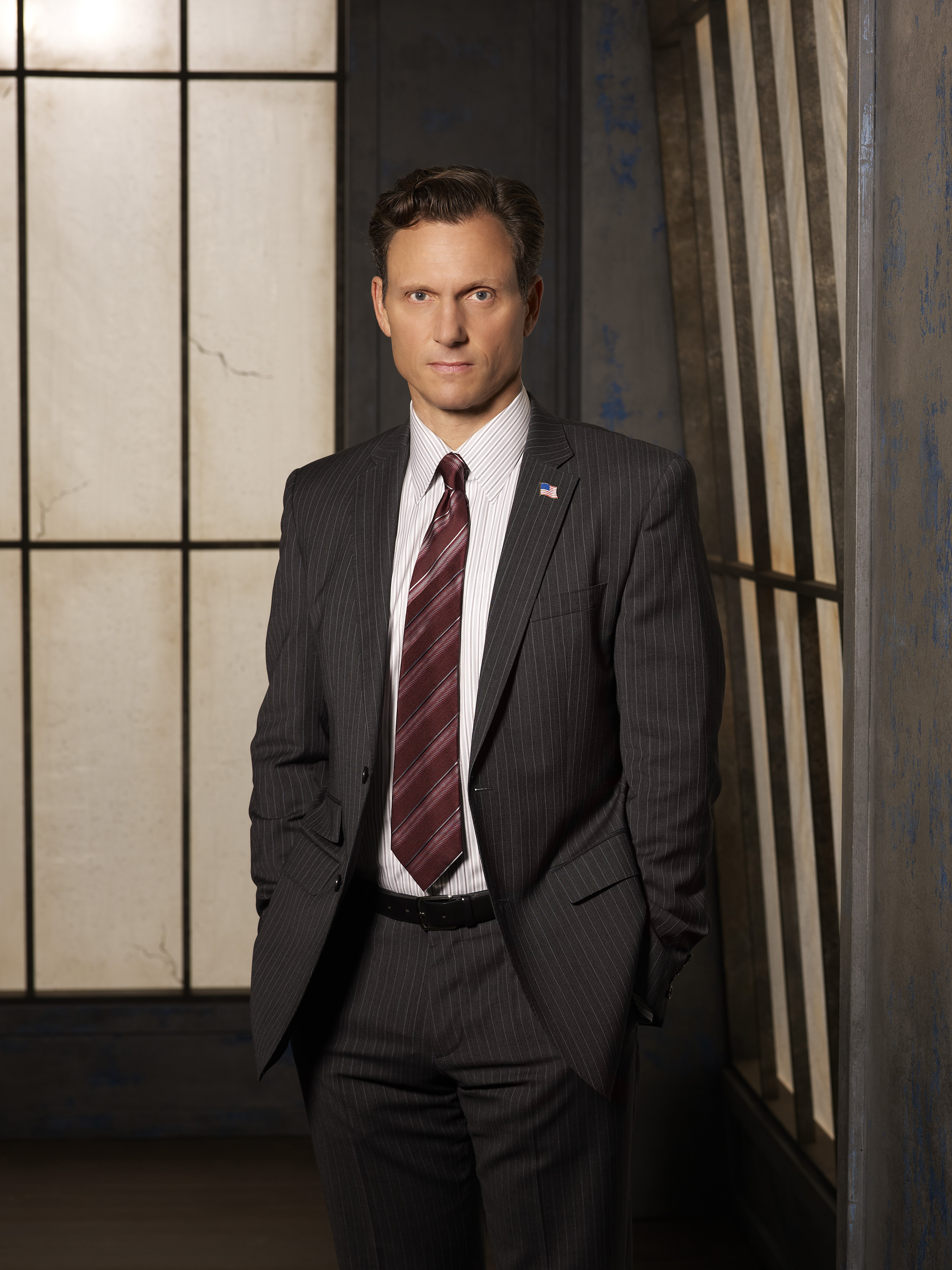Tony Goldwyn played the US President in Scandal. Photo / File