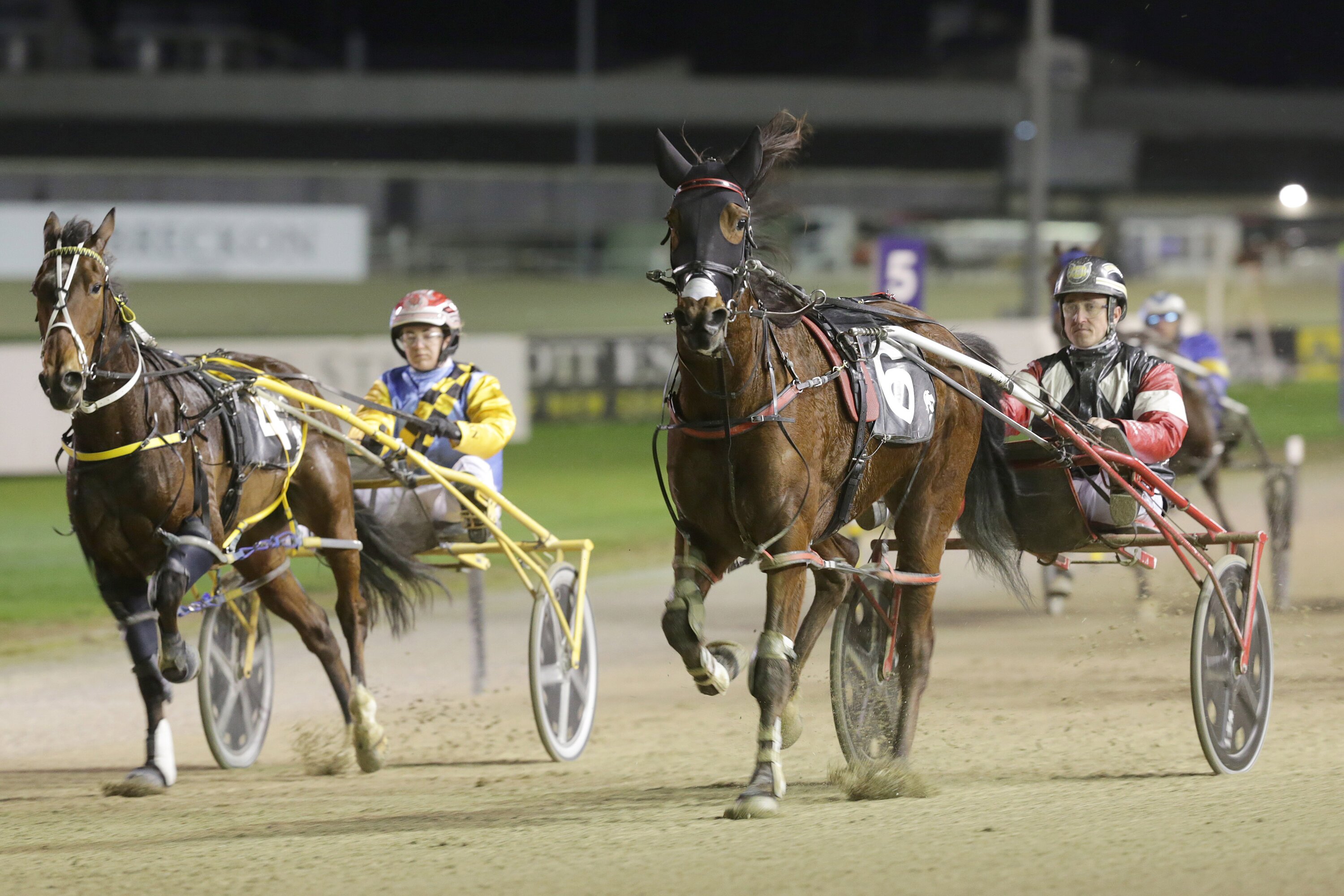 Greyhound Racing NZ CEO Edward Rennell says there's more transparency in reporting of injuries in the greyhound industry than there is in equine racing codes. 