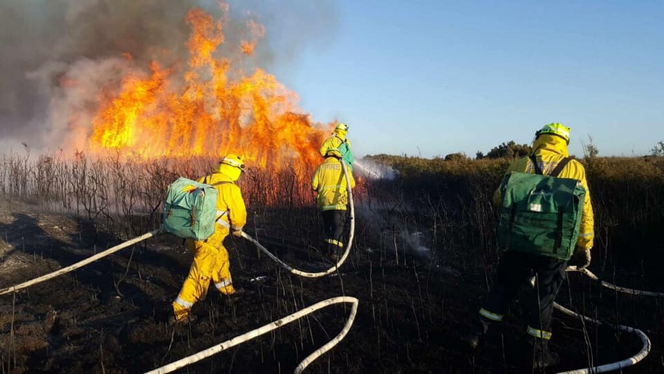 A fire on Karikari Peninsula's Ramp Rd, triggered by a car crashing into a power pole, was one of the worst of the 2019-20 fire season so far. Photo / FENZ