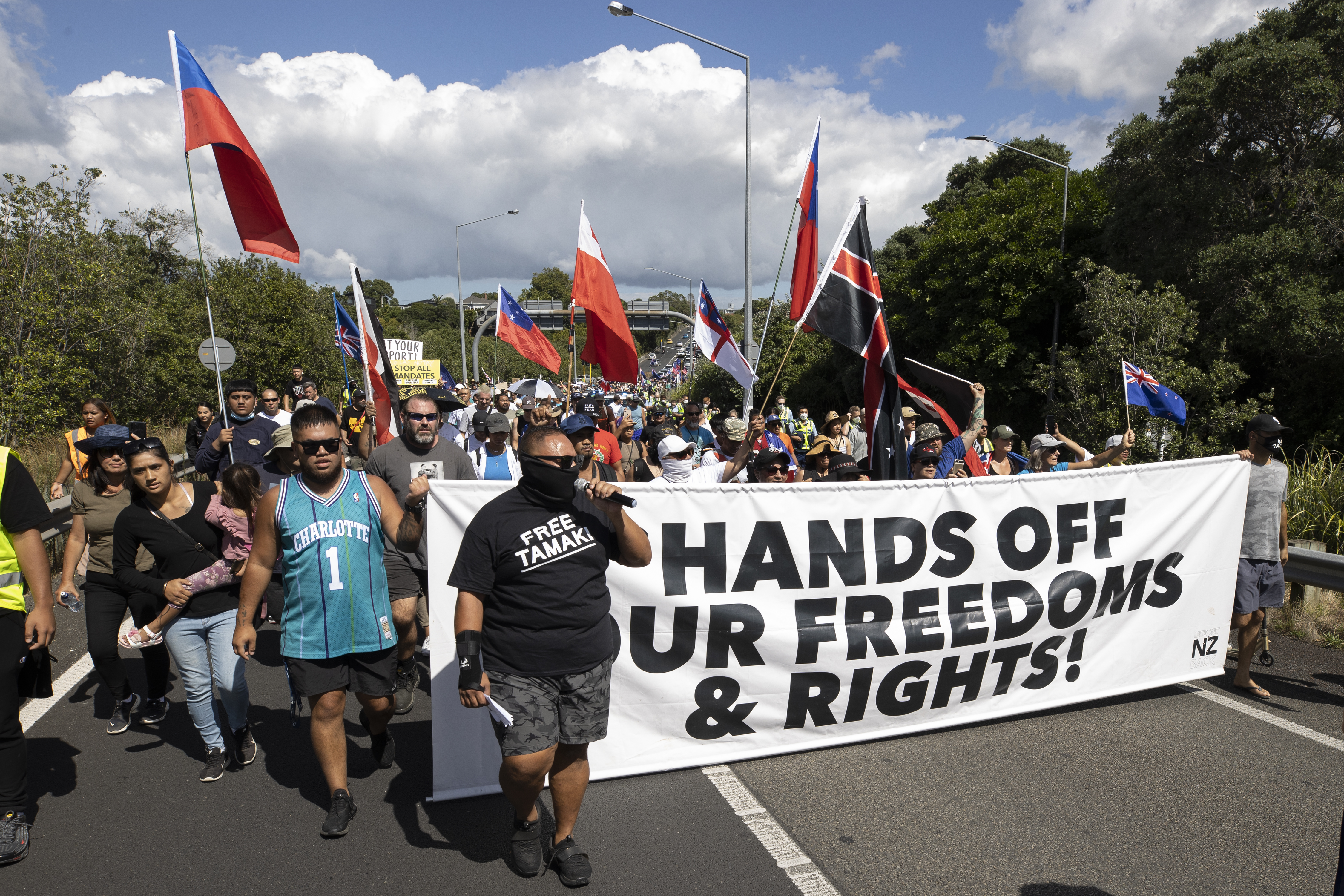 Anti-mandate protests were common last year as the Government persisted with vaccination mandates. Photo / Brett Phibbs