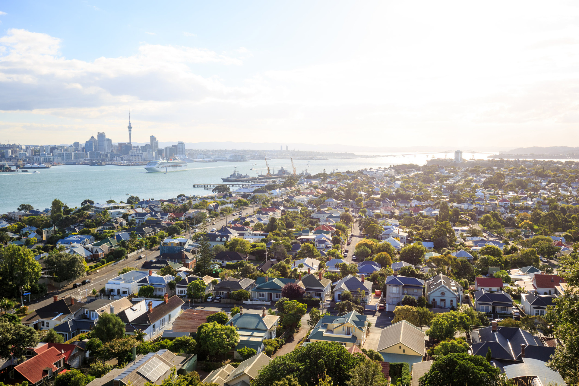 Two new plans for building more homes in Auckland are up for debate, with questions over how much the city's suburbs should change. Photo / 123RF
