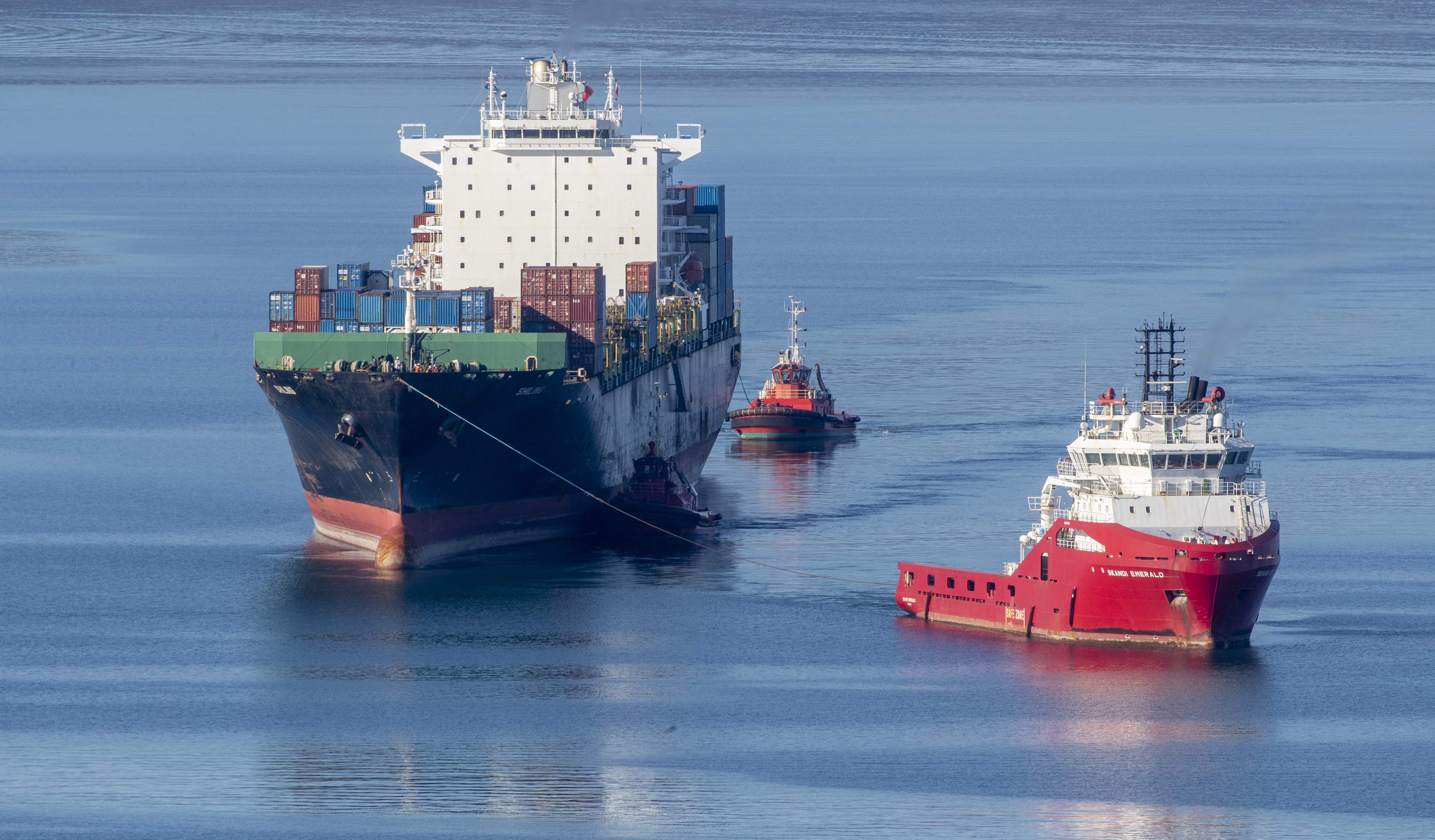 The MV Shiling arrived in Wellington on Tuesday morning. Photo / Mark Mitchell