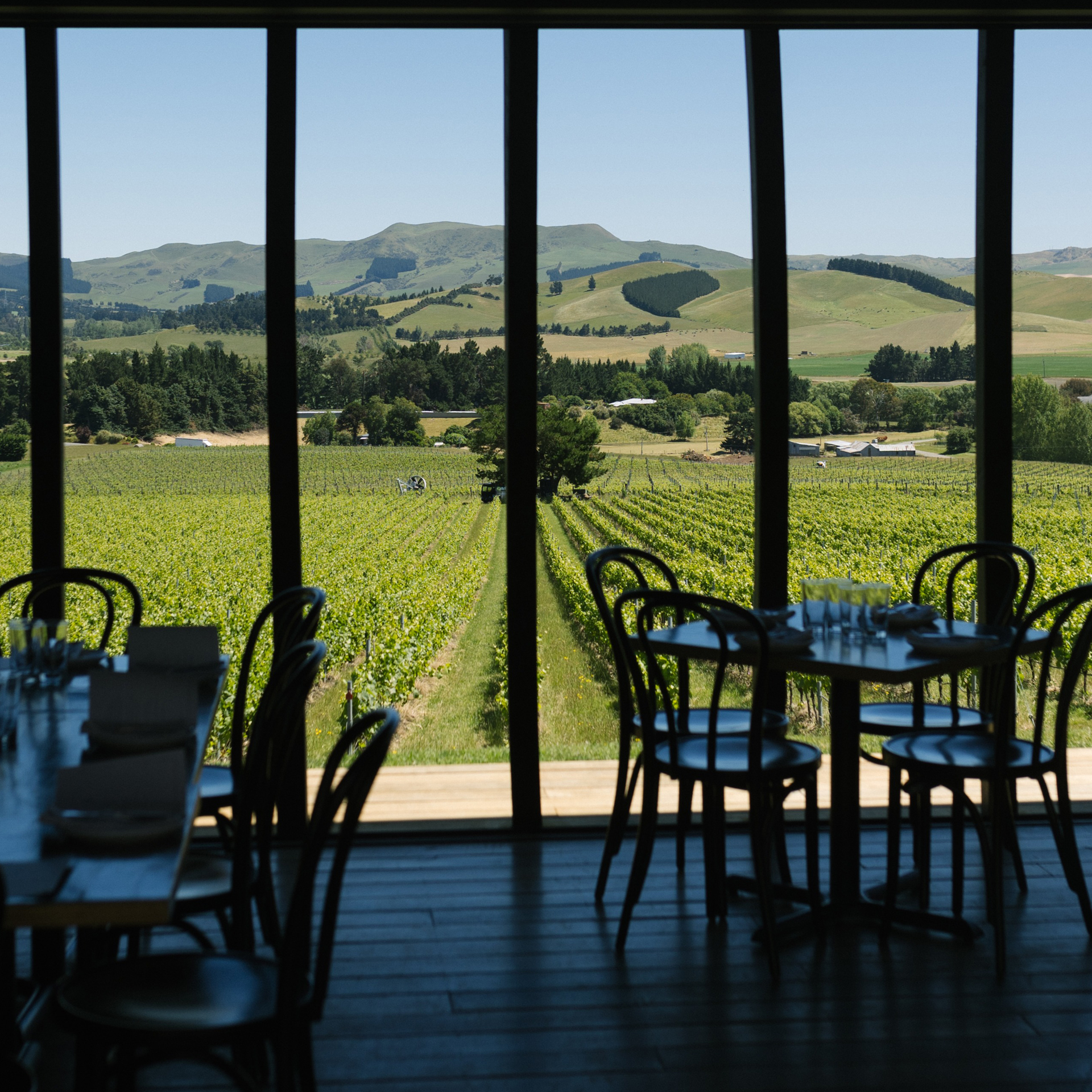 Black Estate, North Canterbury.