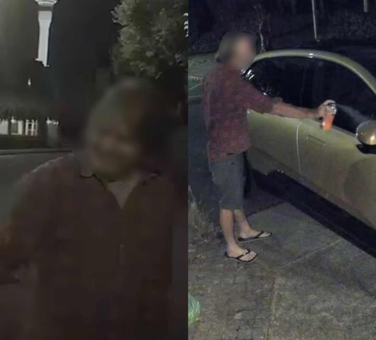 A Freemans Bay Tesla owner believed the man he captured spray-painting his car (left) was the same man captured spray-painting a Polestar on the same night in Mt Eden (right).