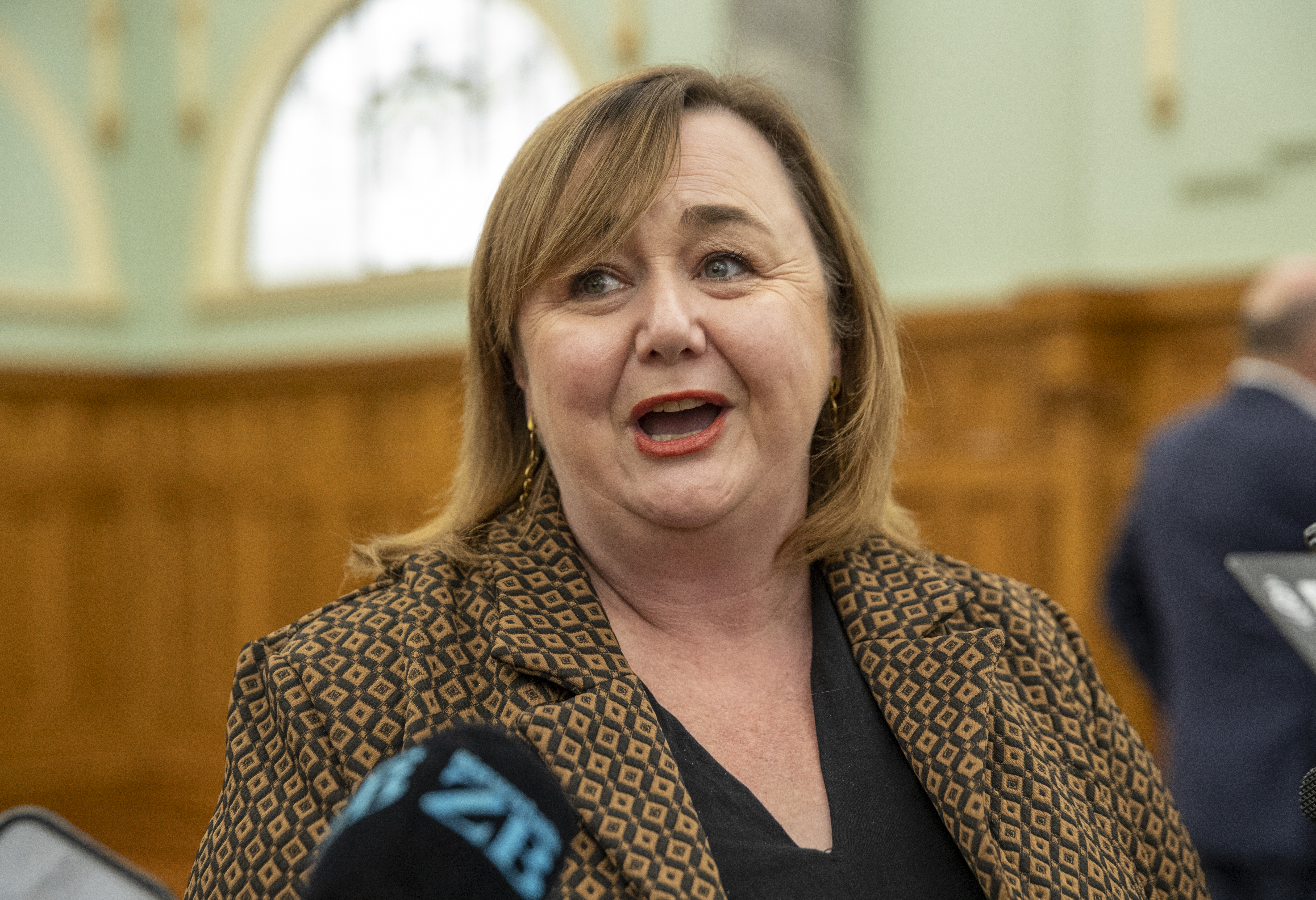 Housing Minister Megan Woods said Kāinga Ora is the landlord of last resort. Photo / Mark Mitchell