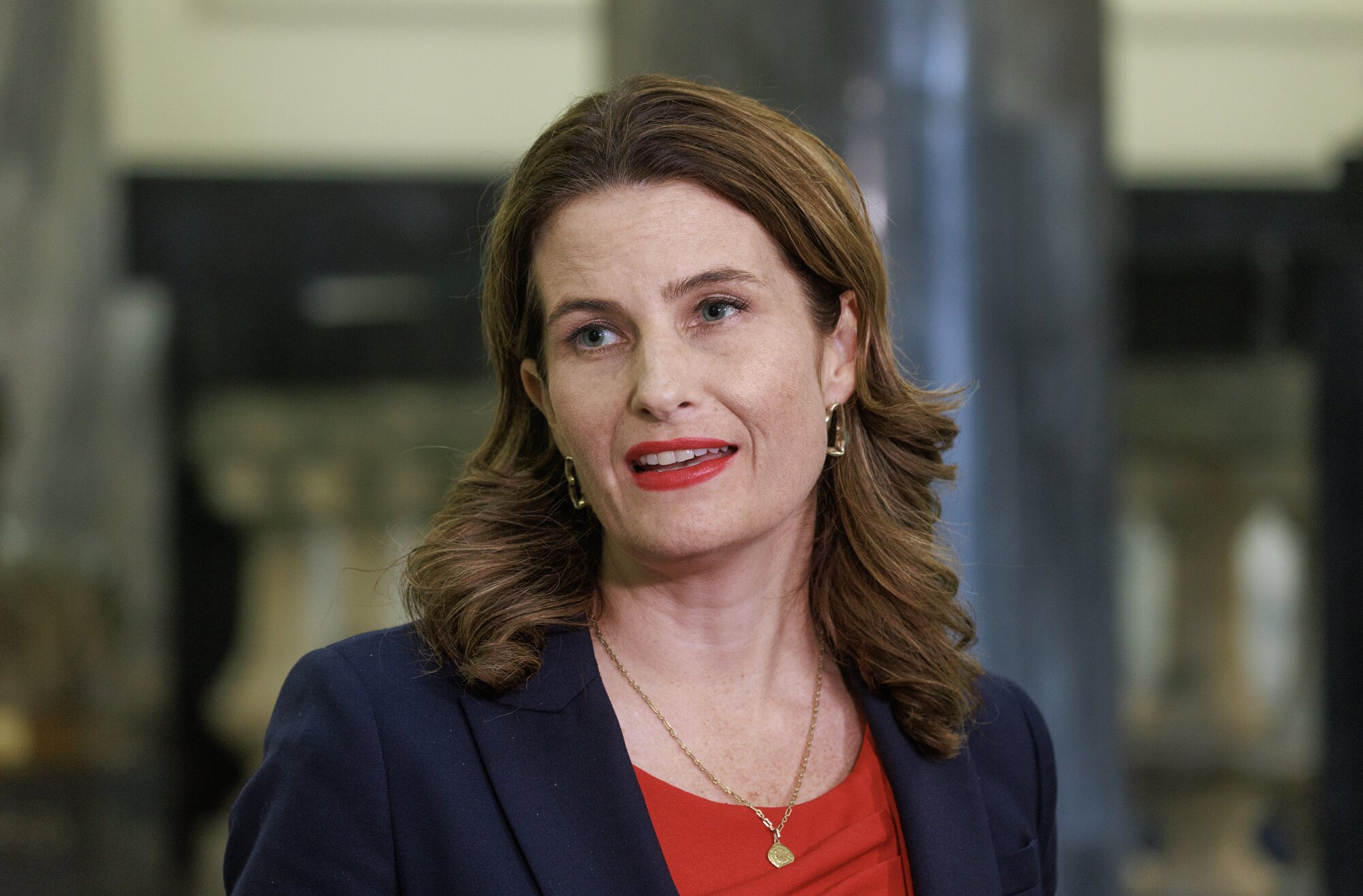 Finance Minister Nicola Willis said this budget would again be filled with cost-cutting measures. Photo / Mark Mitchell 