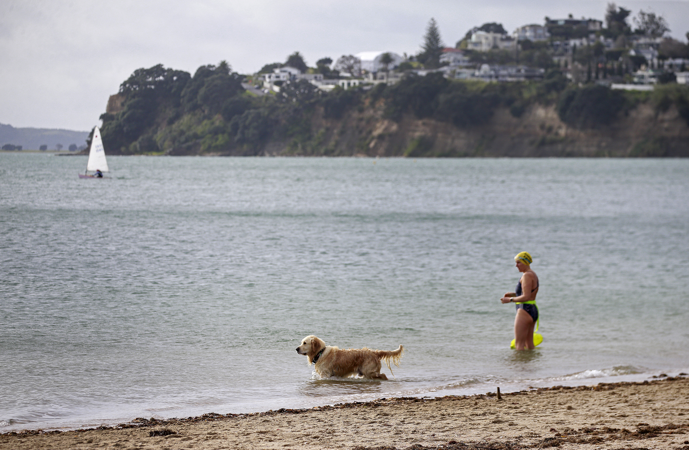 Over the last two years 12 regions across New Zealand have experienced marine heatwaves that last 100 days or longer. Photo  / Alex Burton