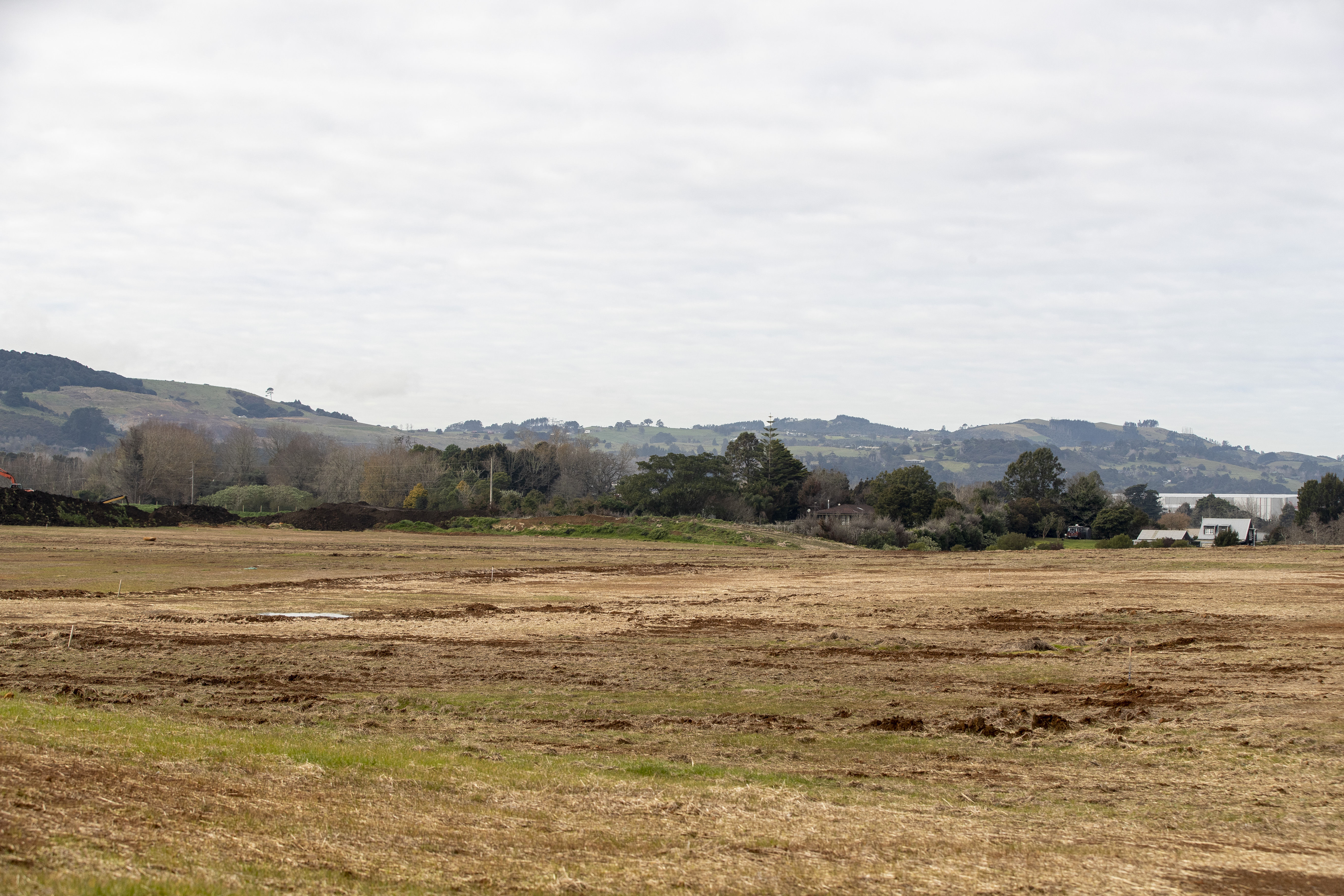 Give me clay, lots of clay! Kiwi's site at Drury where earthworks will resume soon. Photo / Michael Craig