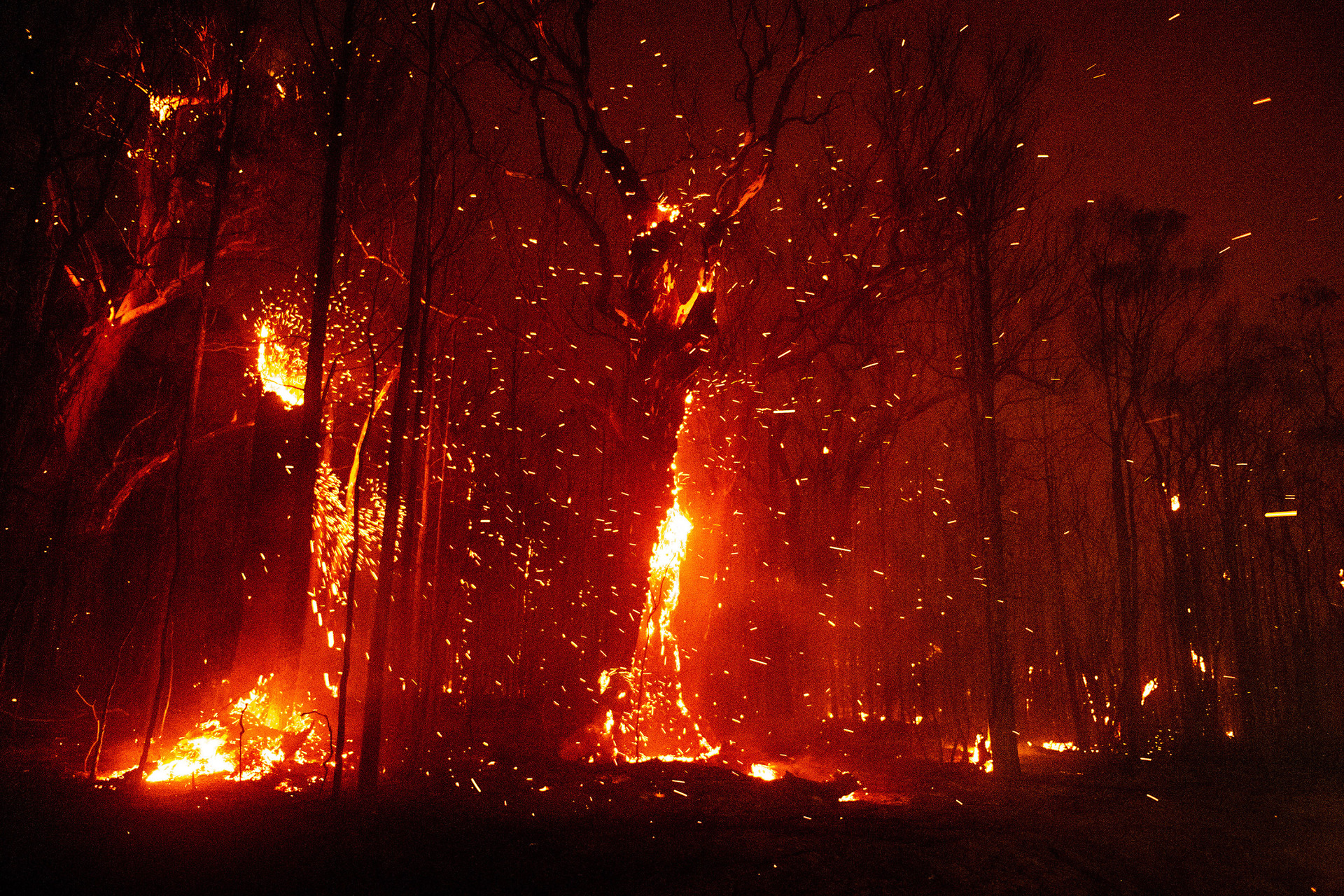 The return of El Niño conditions later this year could spell a higher fire risk across the Tasman - but also along New Zealand's eastern regions. Photo / Matthew Abbott/The New York Times
