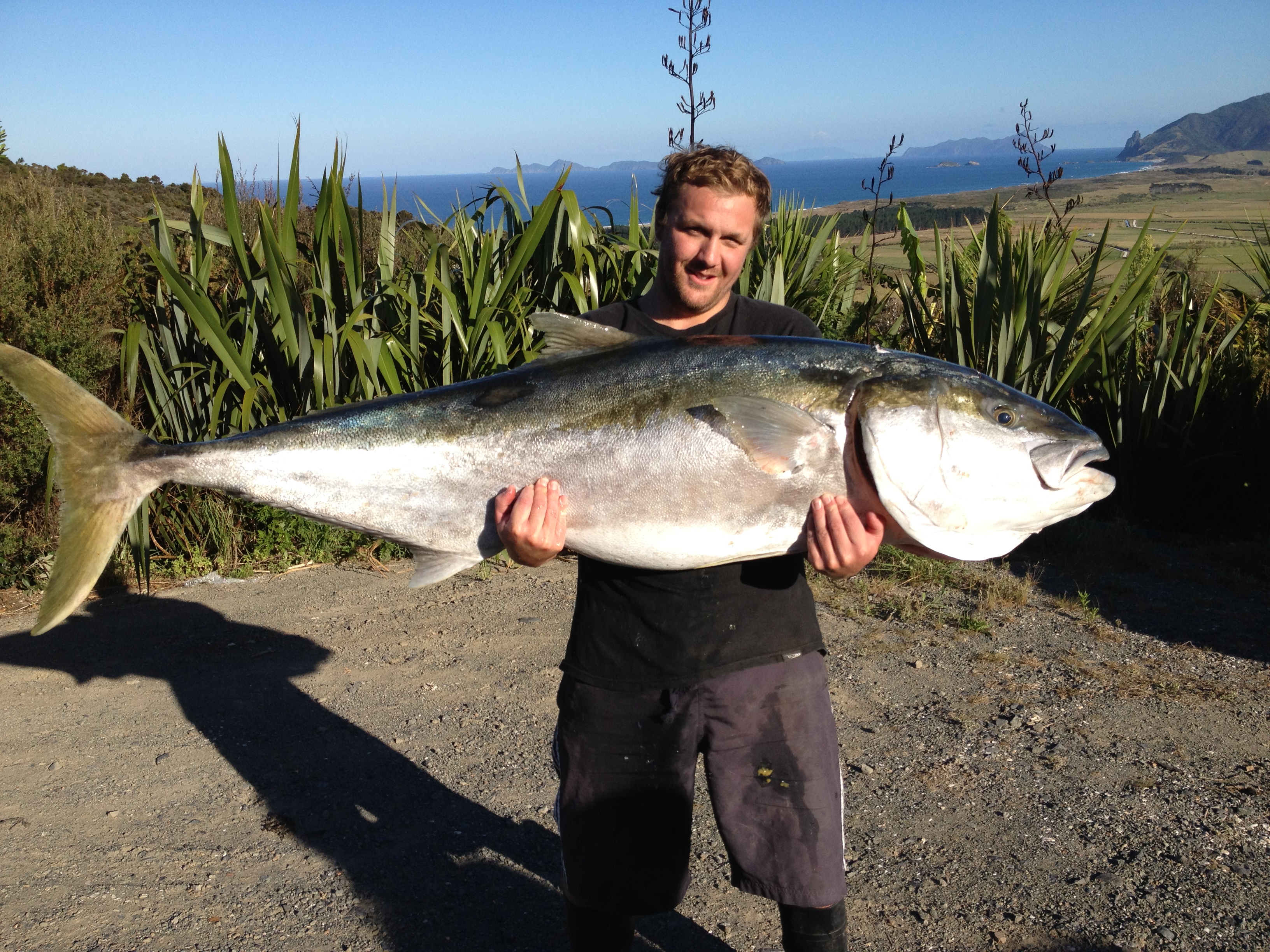 Giant kingi catch breaks national spearing record - NZ Herald
